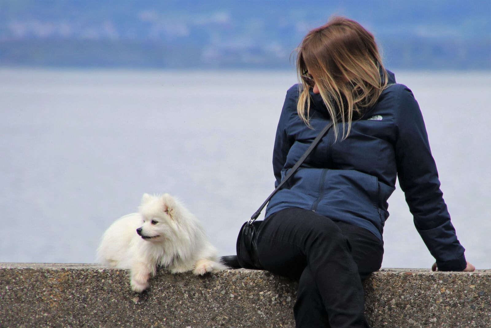 Canon EOS 80D sample photo. Girl, white dog, musings photography