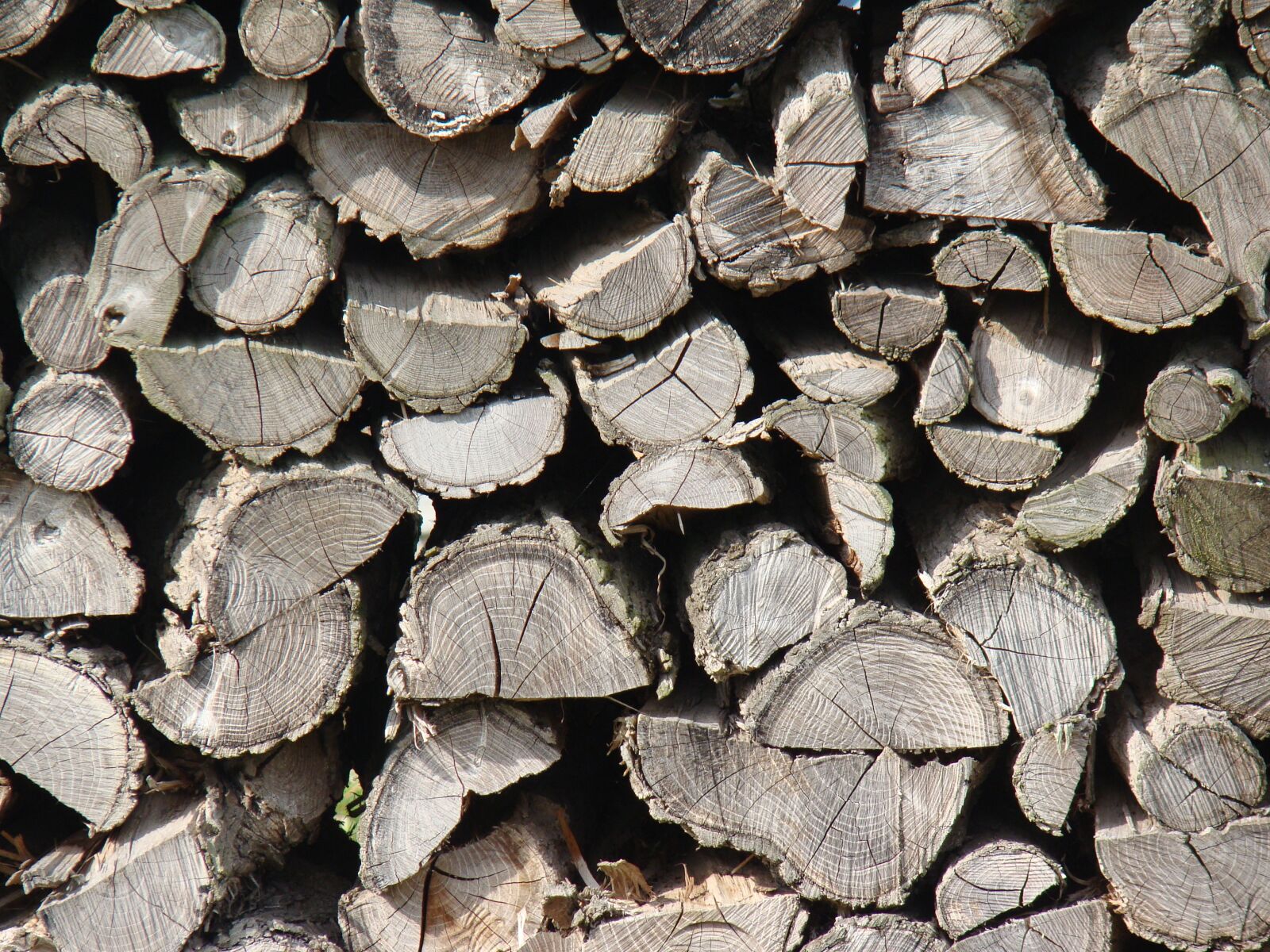 Sony Cyber-shot DSC-H50 sample photo. Wood, holzstapel, stack photography