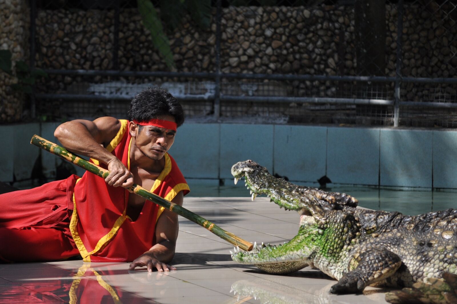 Nikon D5000 sample photo. Phuket, phuket zoo, crocodile photography
