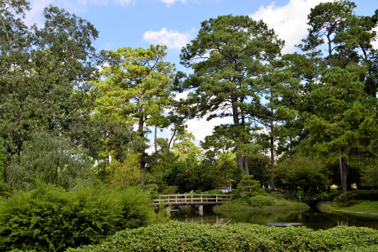 Nikon D3100 sample photo. Japanese garden, wooden bridge photography