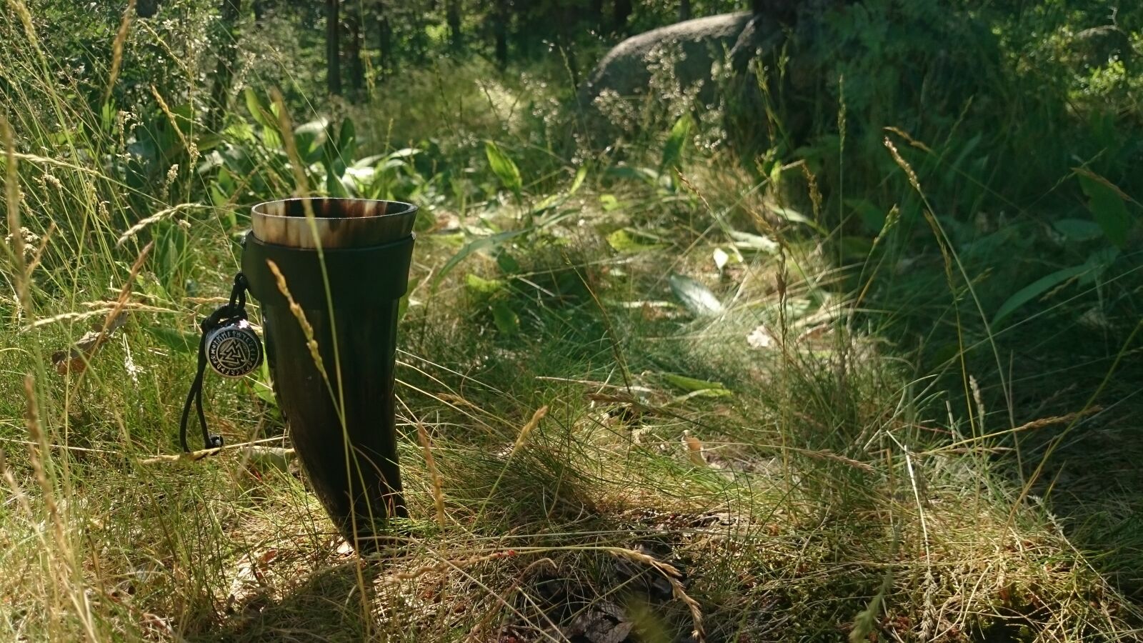 Sony Xperia Z1 sample photo. Horn, valknut, sütterlin photography