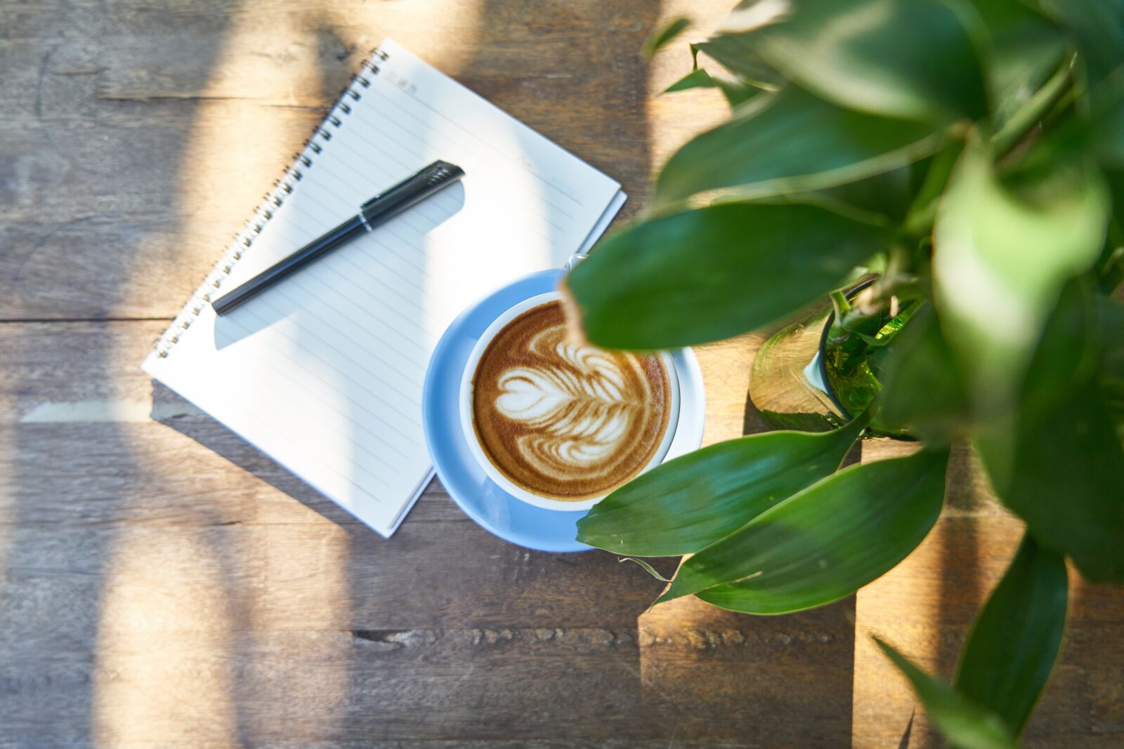 Sony a7R II sample photo. Coffee, latte, brown photography