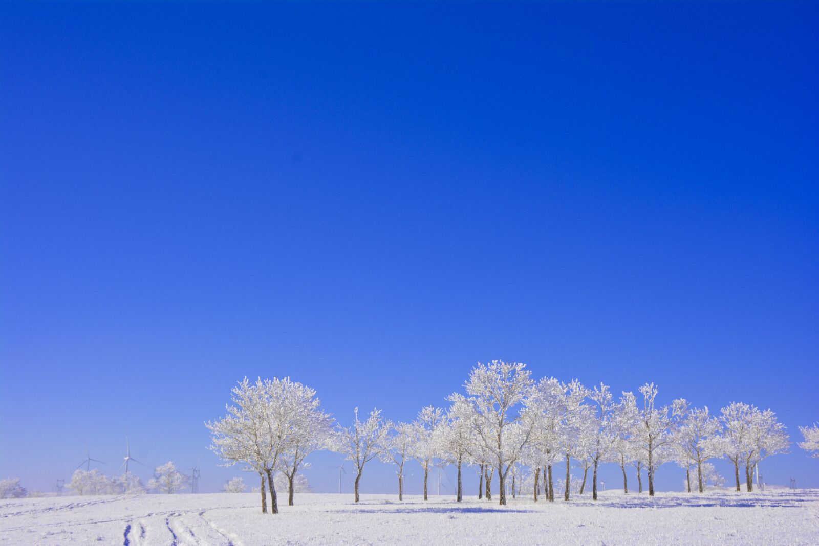 Nikon D7100 sample photo. Winter, snow, trees photography