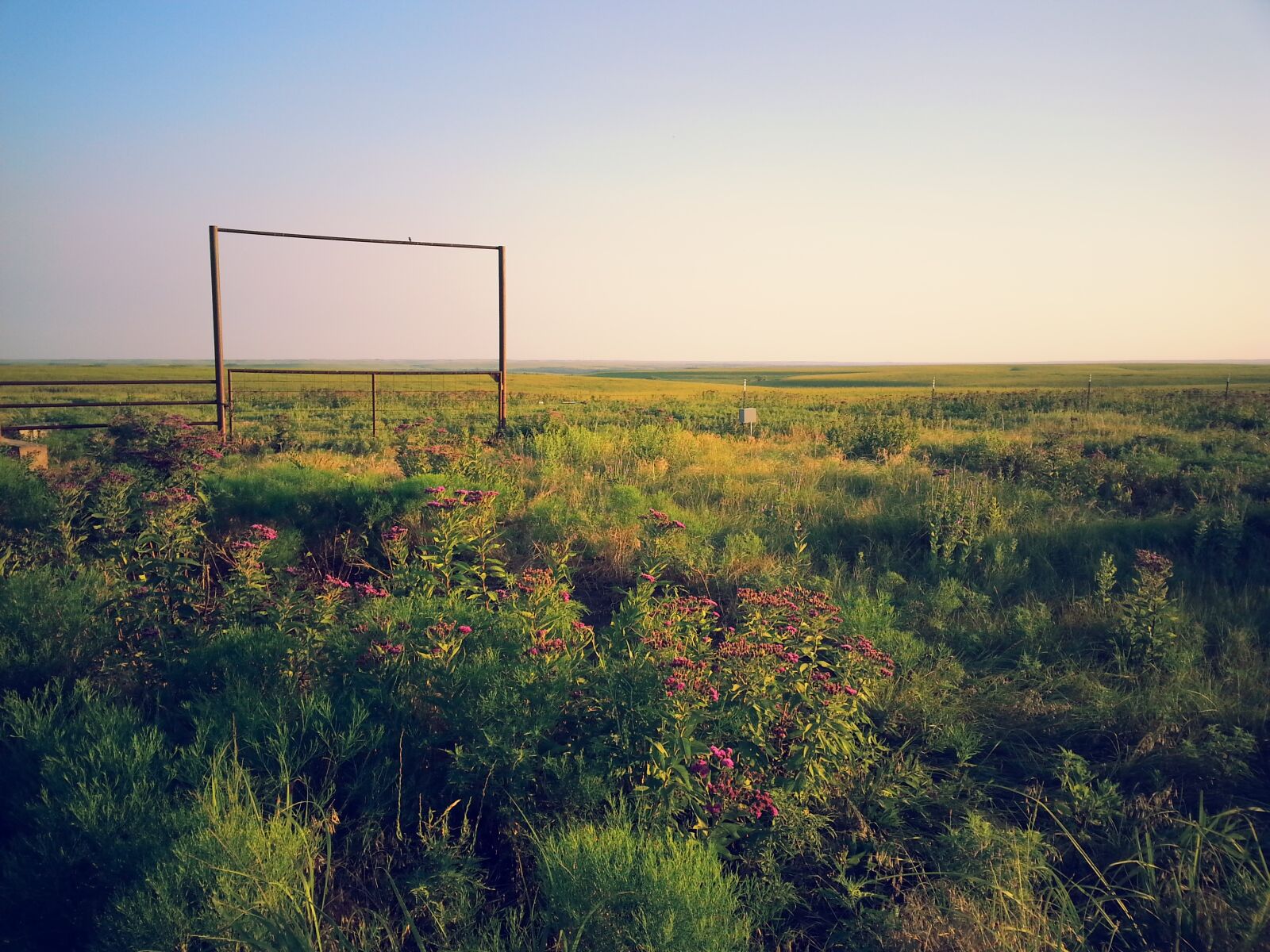 Samsung Galaxy S3 sample photo. Kansas, prairie, nature photography