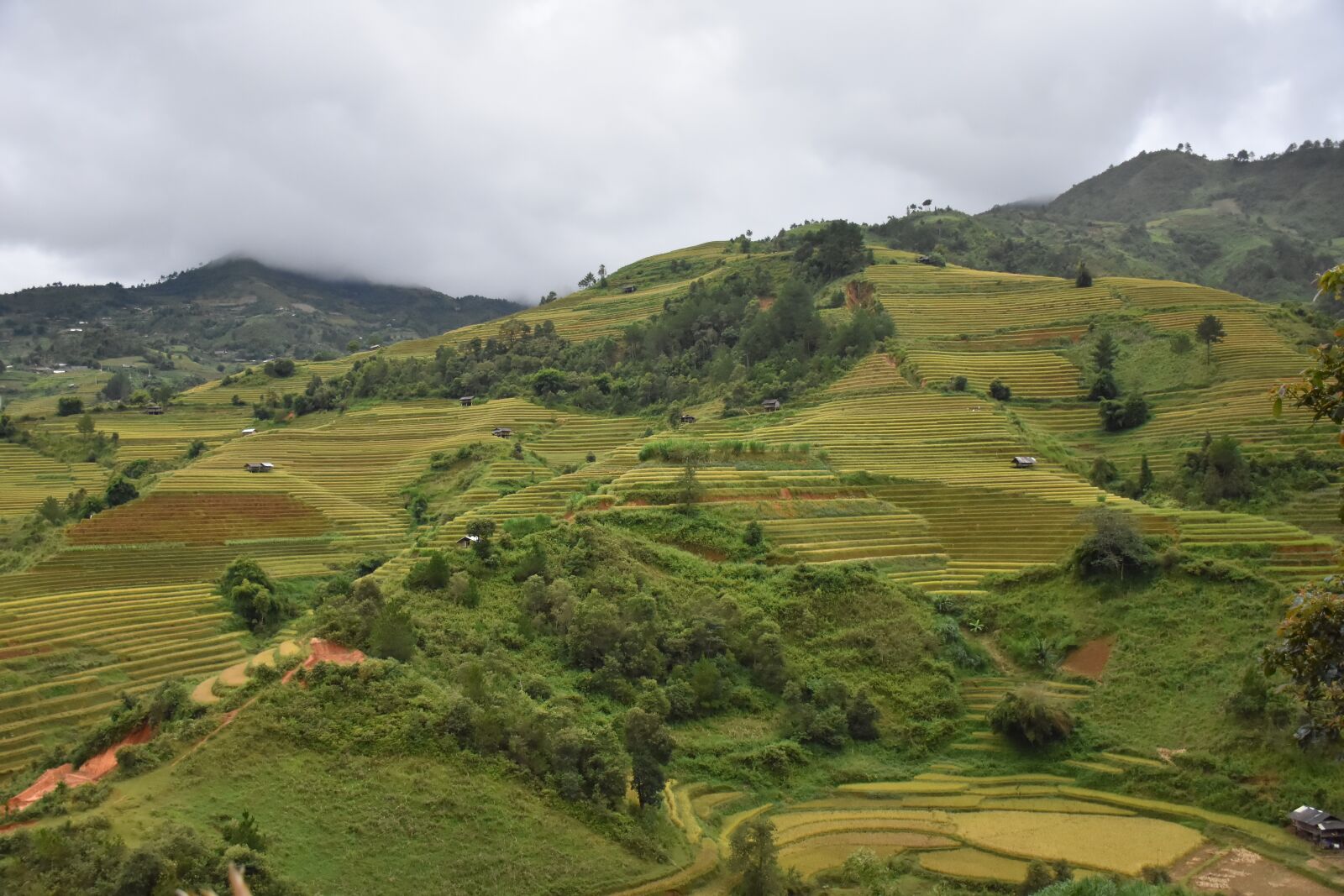 Nikon D7200 sample photo. Terraces, mountains, vietnam photography