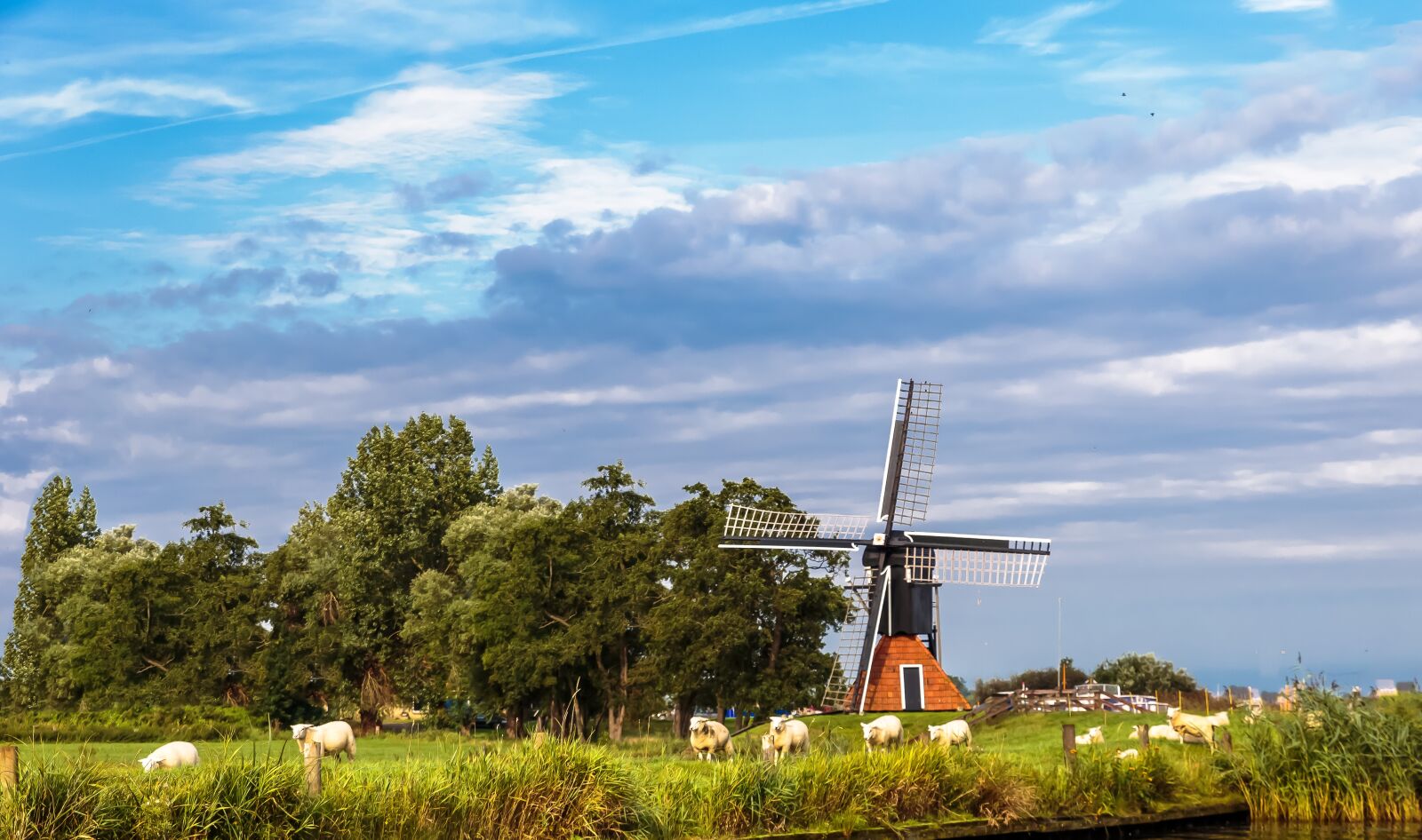 Canon EOS 6D sample photo. Wind mill, landscape, netherlands photography