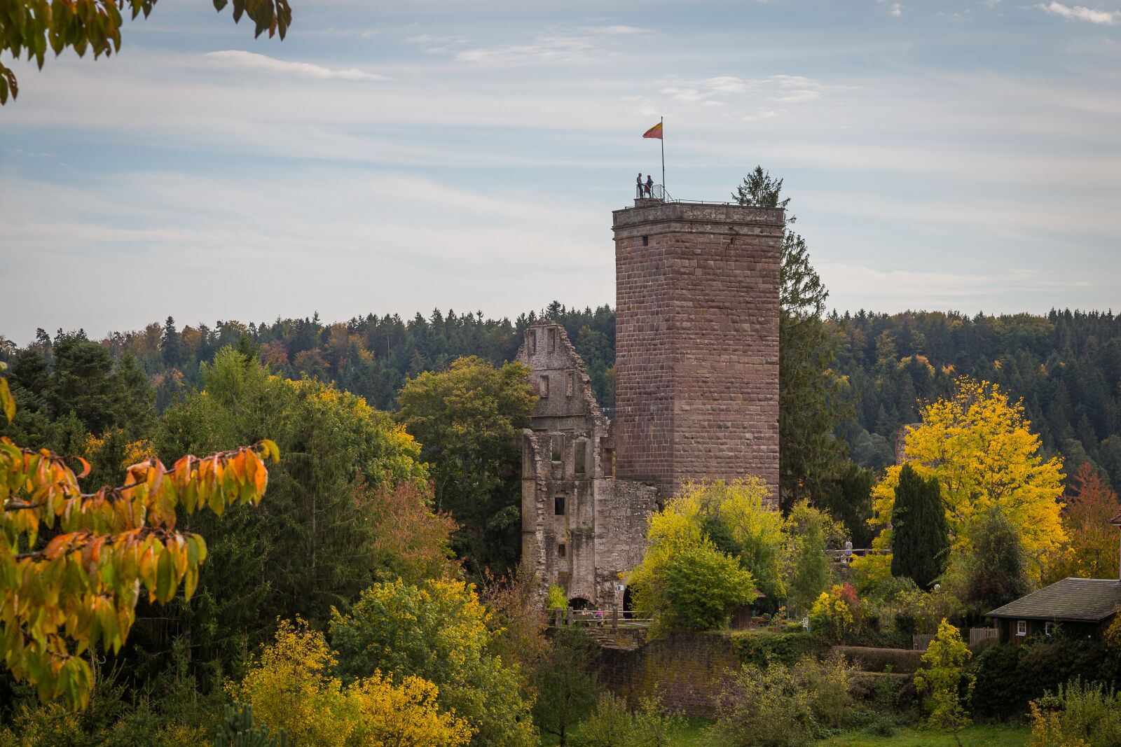 Canon EF 24-105mm F4L IS USM sample photo. Zavelstein, teinach, castle photography