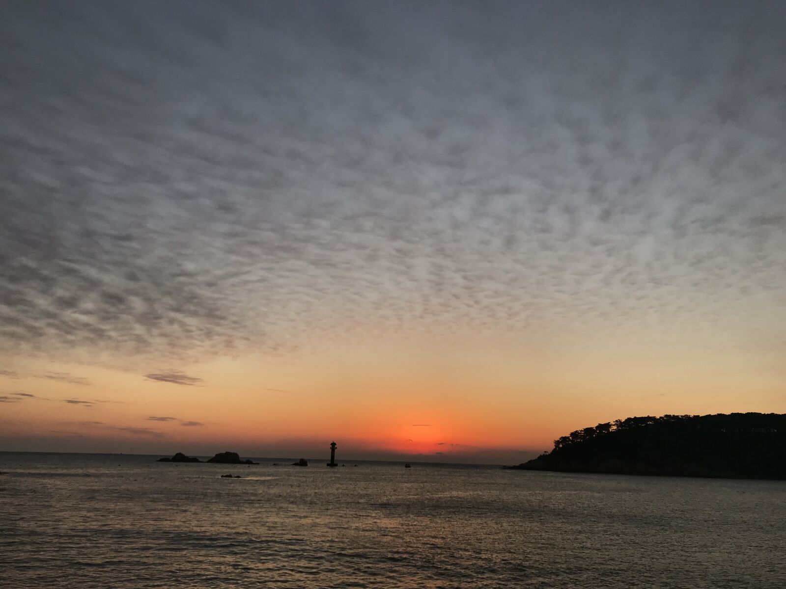 iPhone 7 back camera 3.99mm f/1.8 sample photo. Sunset, korea, sea photography