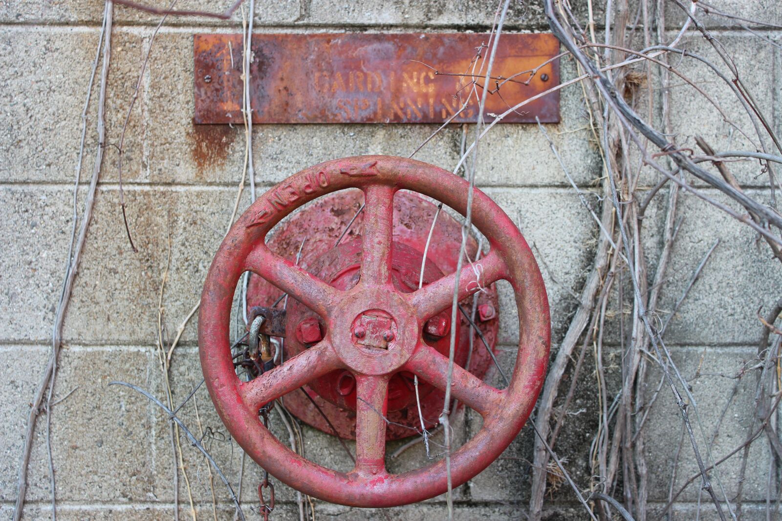 Canon EOS 1300D (EOS Rebel T6 / EOS Kiss X80) sample photo. Old textile mill, wheel photography