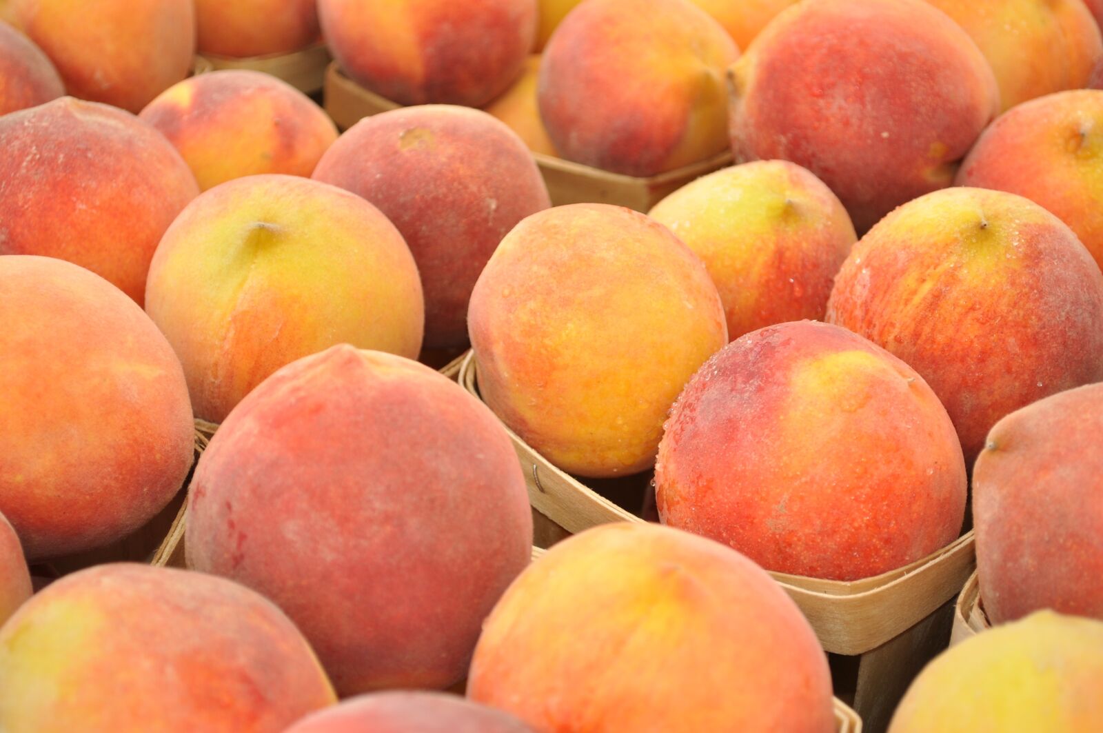 Nikon D5000 sample photo. Peaches, fruit, market photography
