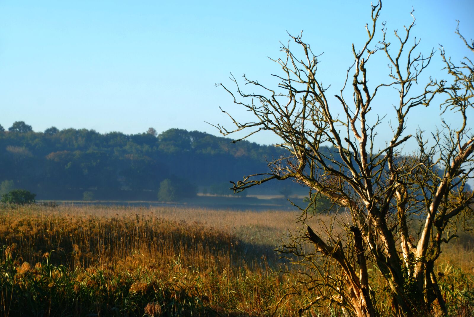 Nikon D80 sample photo. Sunrise, fog, sea photography