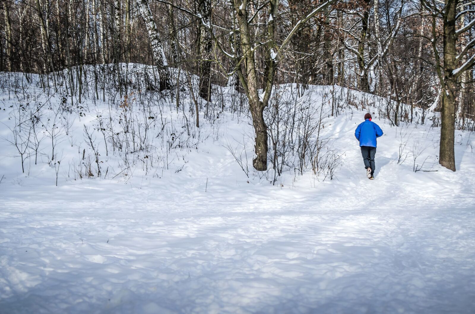 Nikon D5100 sample photo. Man, snow, forest, winter photography