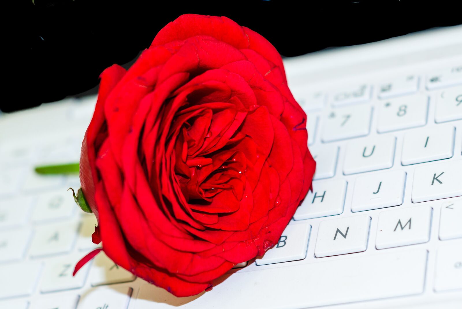 Nikon D7000 sample photo. Computer, keyboard, laptop photography
