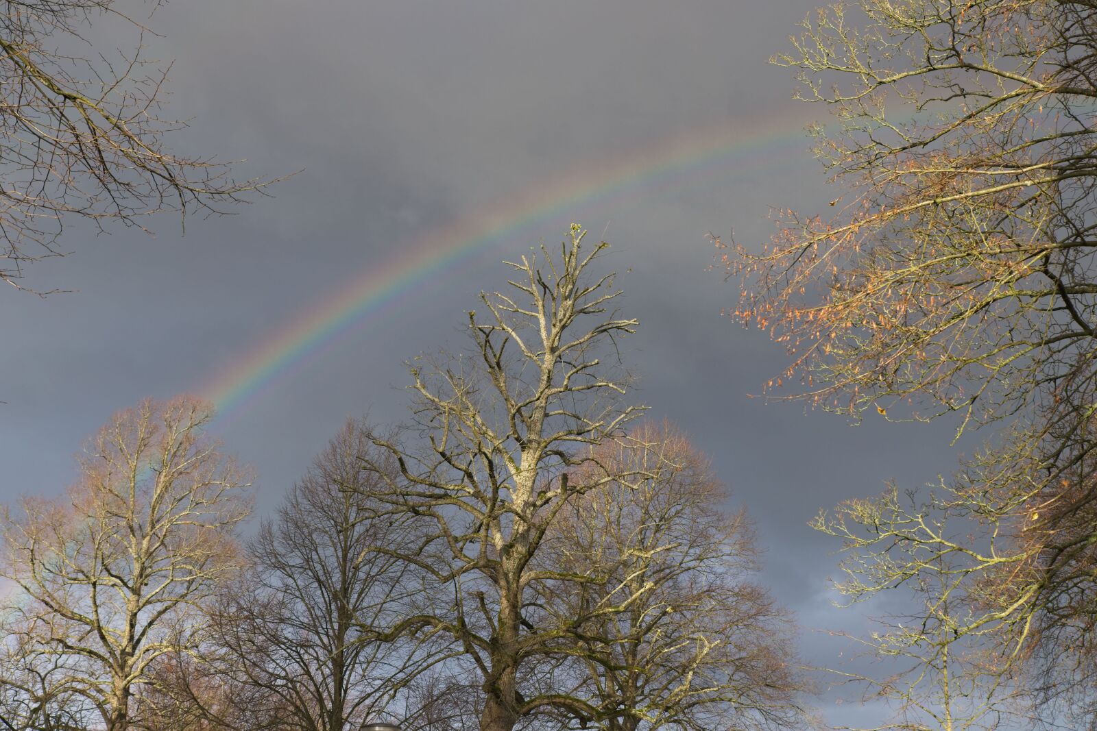 Canon EOS 6D Mark II sample photo. Rainbow, clouds, rain photography