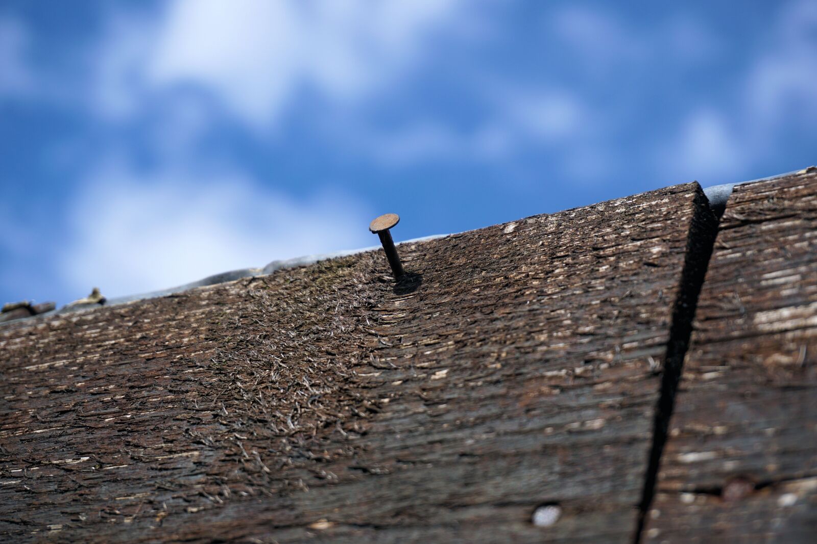Sony a6000 sample photo. Nail, board, wood photography