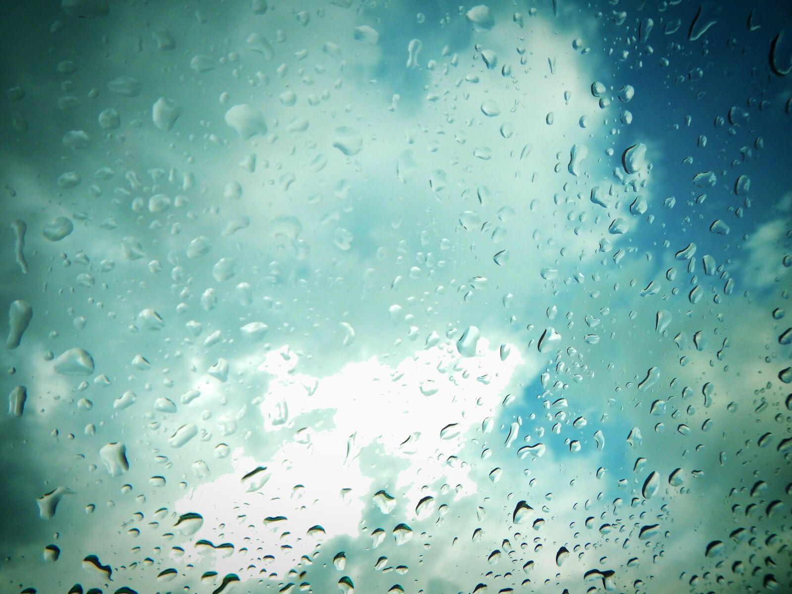 Nikon Coolpix AW110 sample photo. Rain, drops, drizzle photography