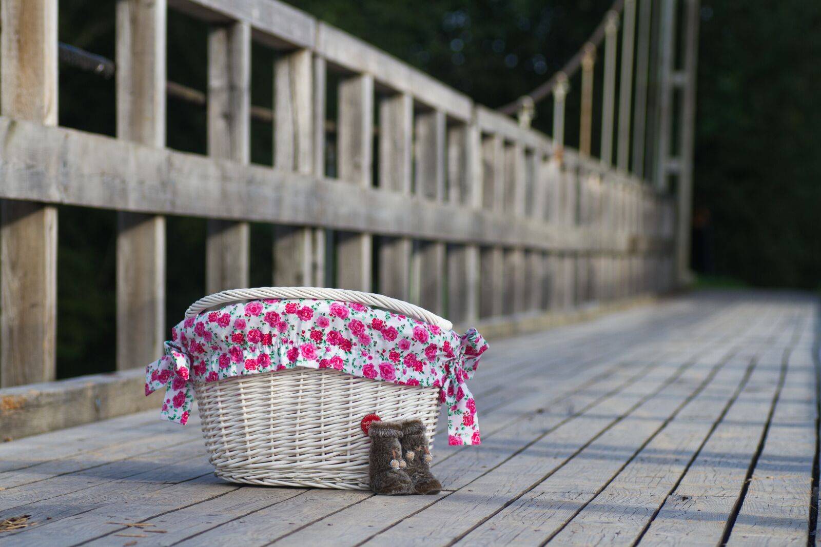 Tamron SP 90mm F2.8 Di VC USD 1:1 Macro sample photo. Basket, flowers, color photography