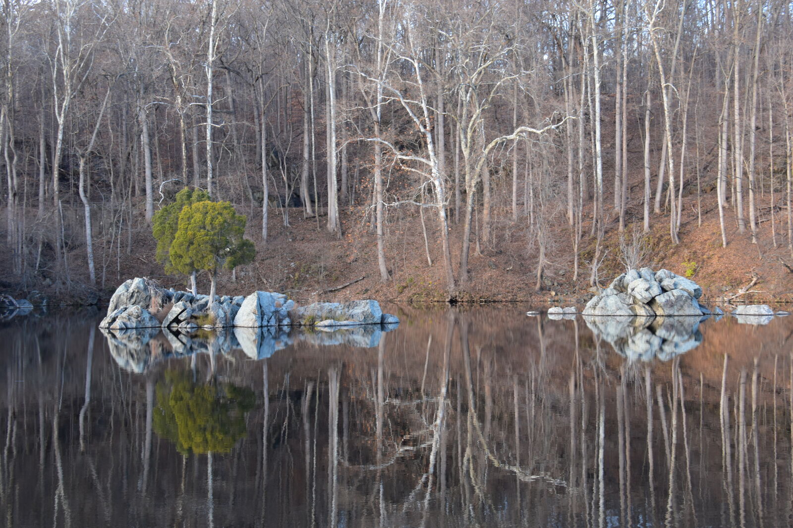 Nikon D5500 sample photo. Great, falls, maryland photography
