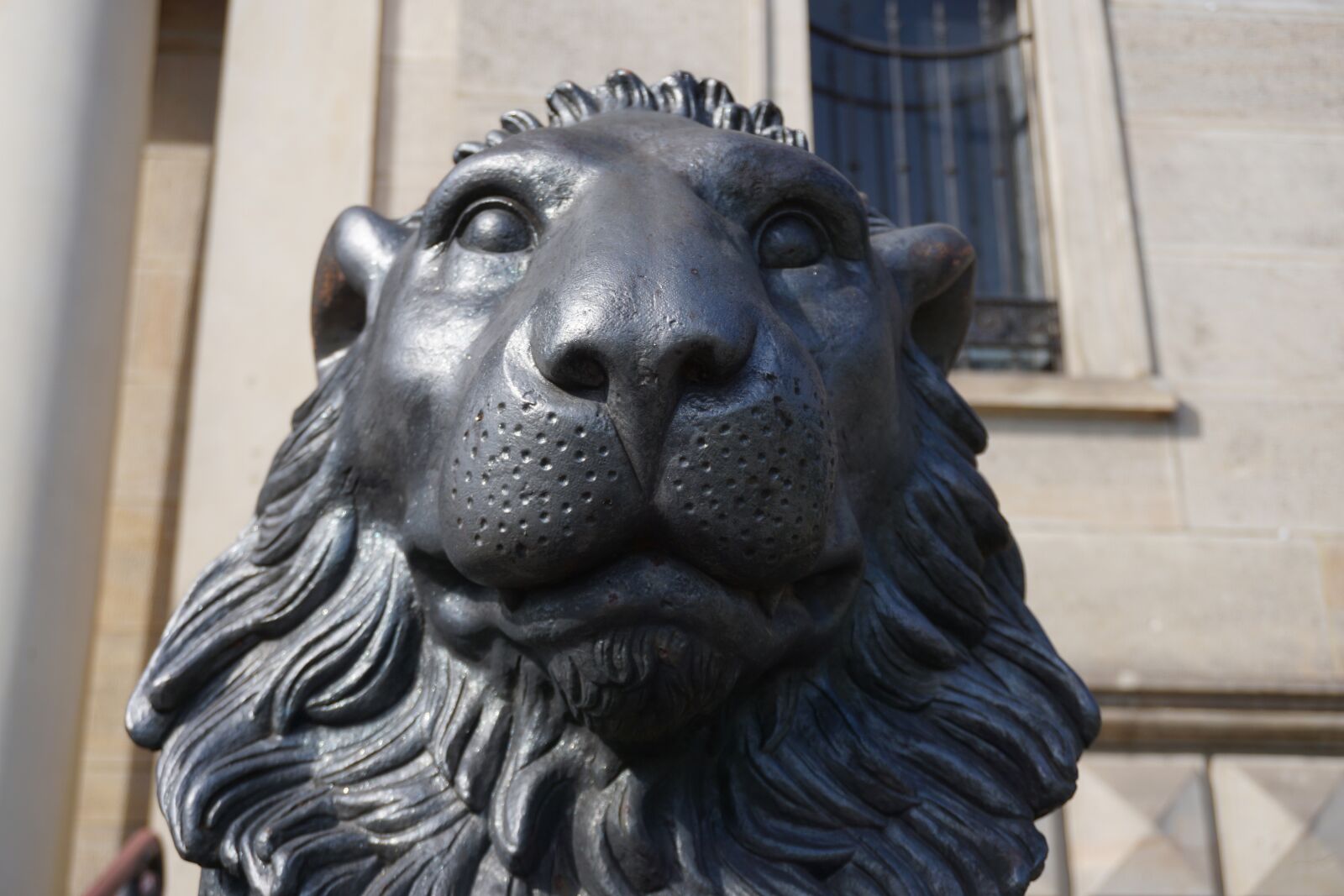 Sony a6000 sample photo. Lion, sculpture, herzog-august-library photography