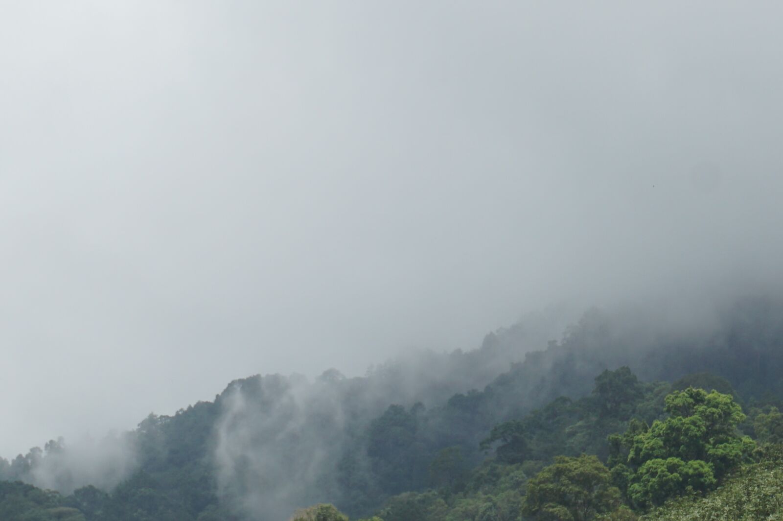 Sony E 16-50mm F3.5-5.6 PZ OSS sample photo. Mountains, the forests, nature photography