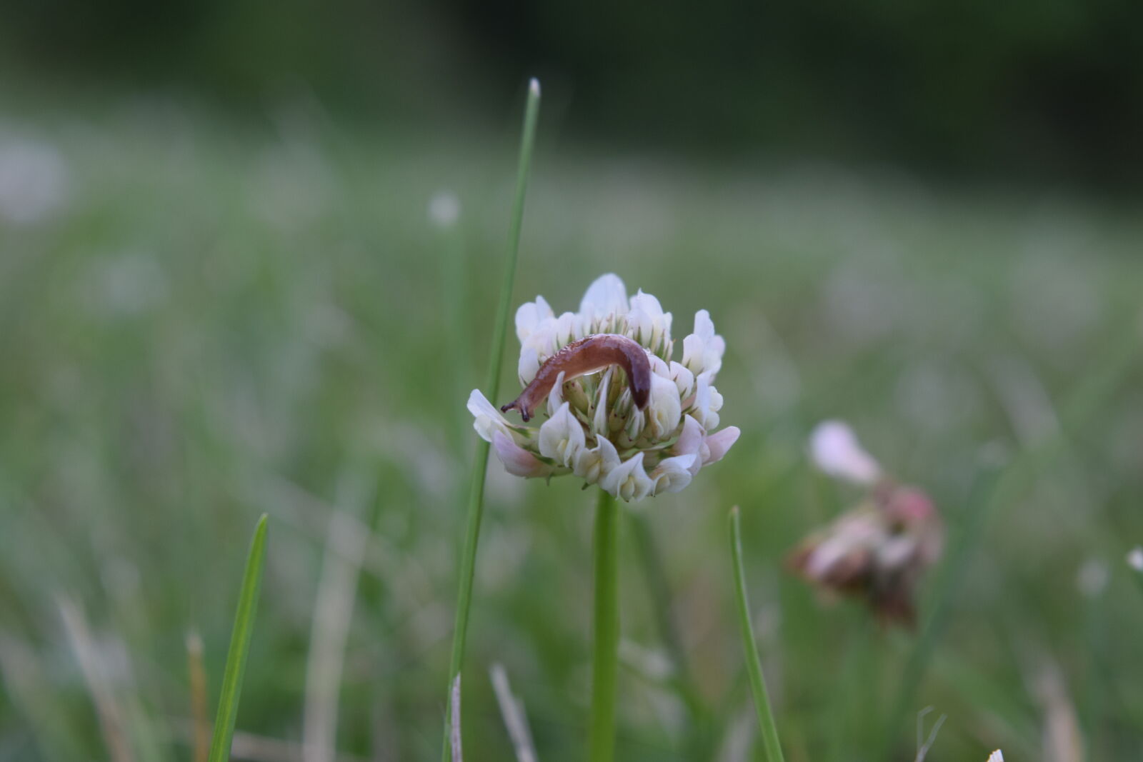 Nikon D3300 sample photo