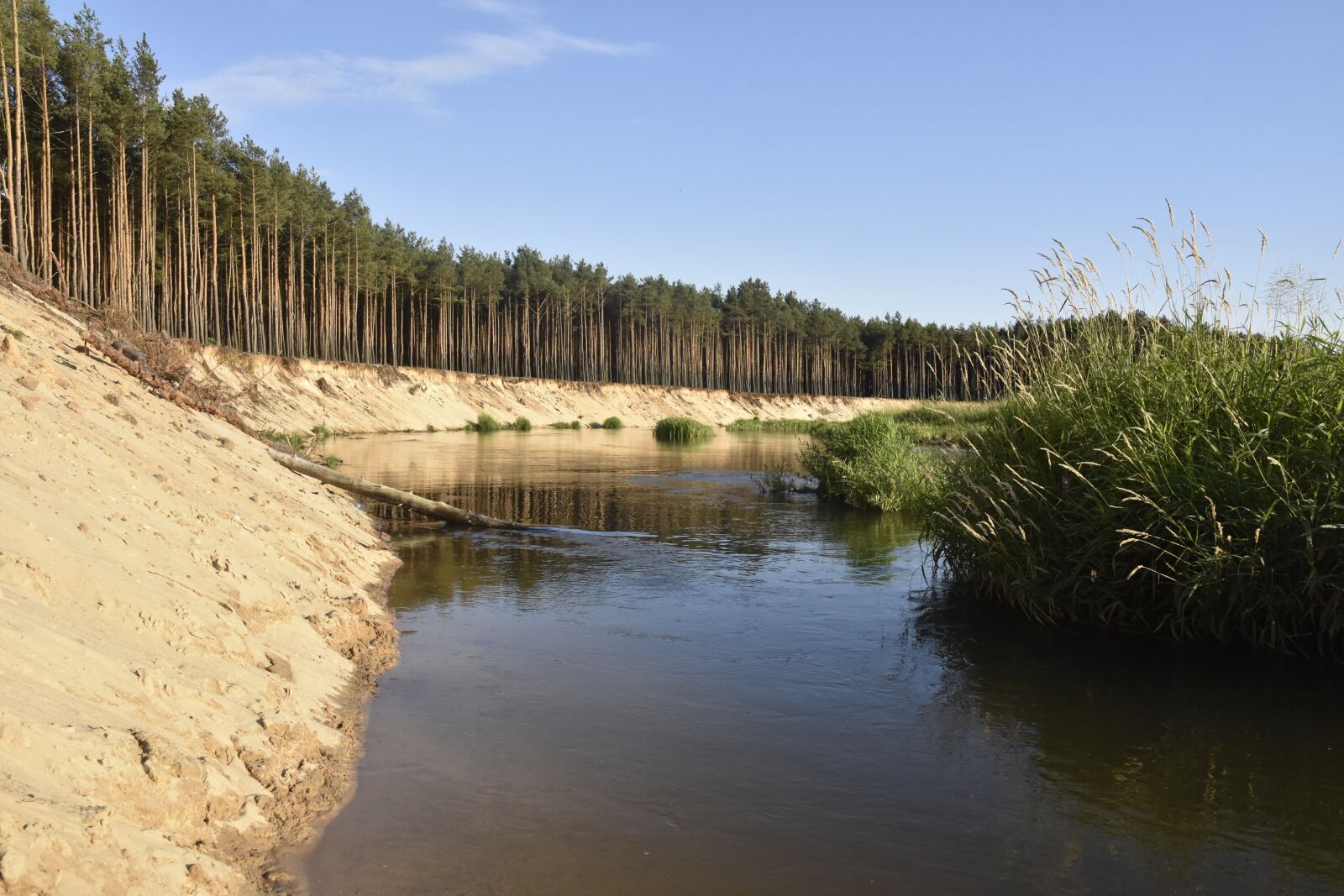 Nikon D7200 sample photo. Water, river, nature photography