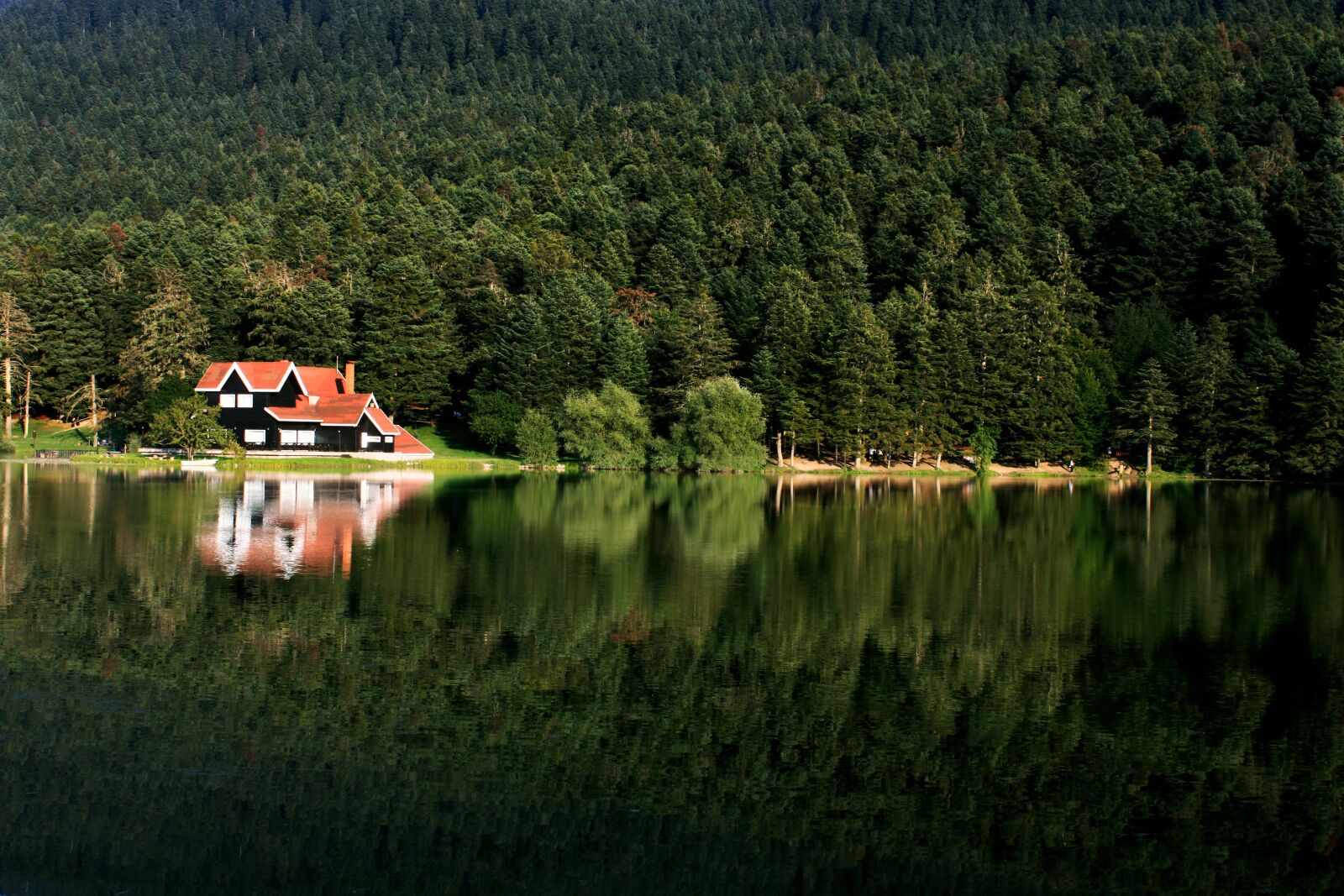 Canon EOS 500D (EOS Rebel T1i / EOS Kiss X3) sample photo. Reflection, lake, bolu photography