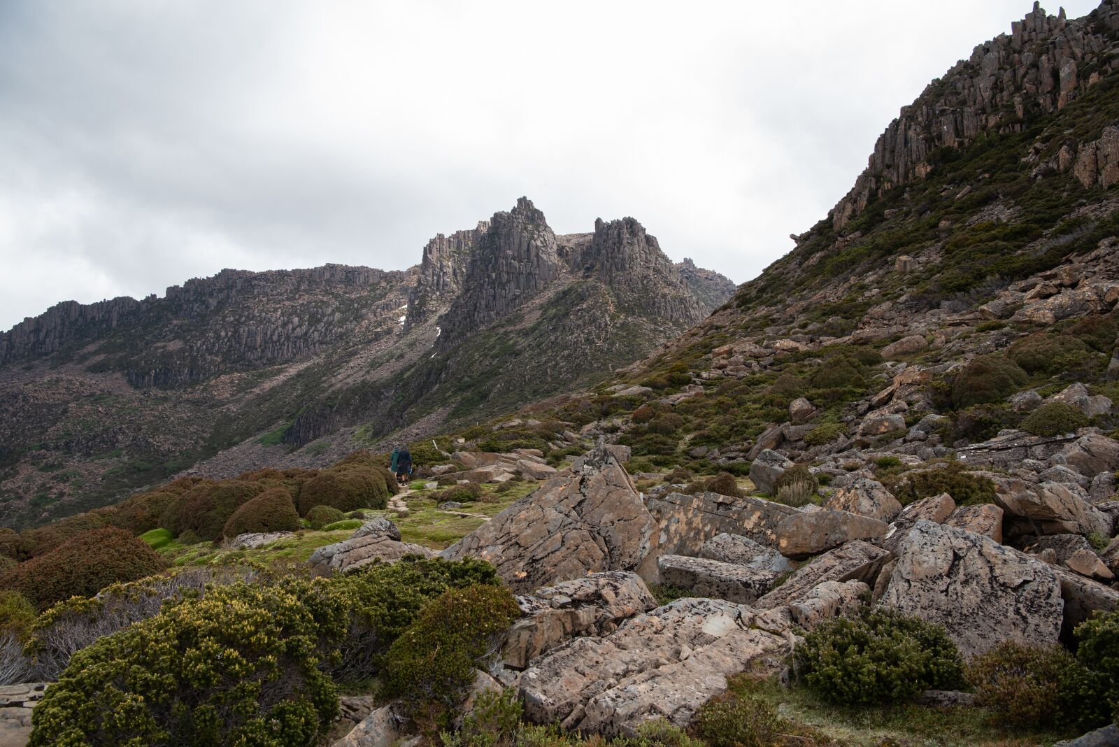 Nikon D750 sample photo. Overland track, tasmania, nature photography