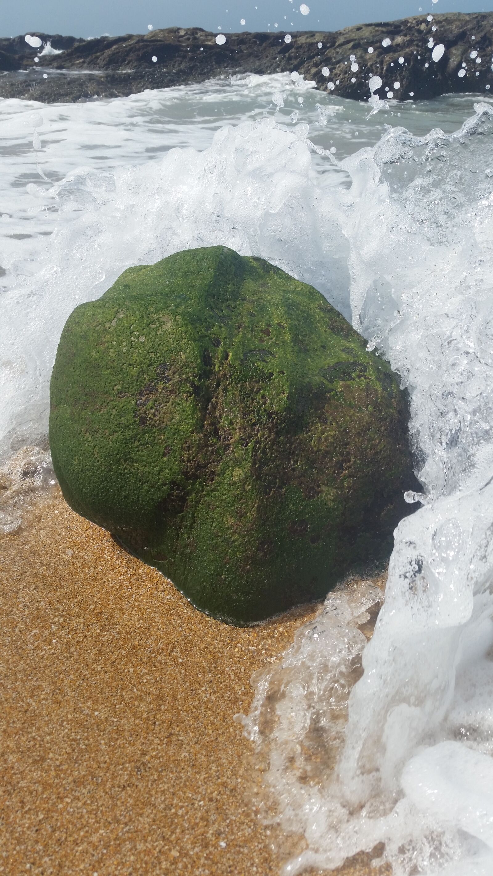 Samsung Galaxy S5 sample photo