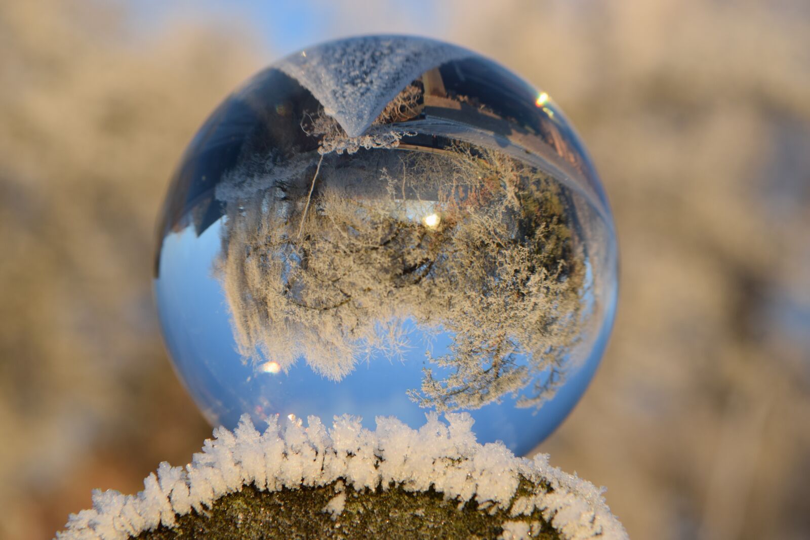 Nikon D3300 sample photo. Winter, ball, rauhr photography