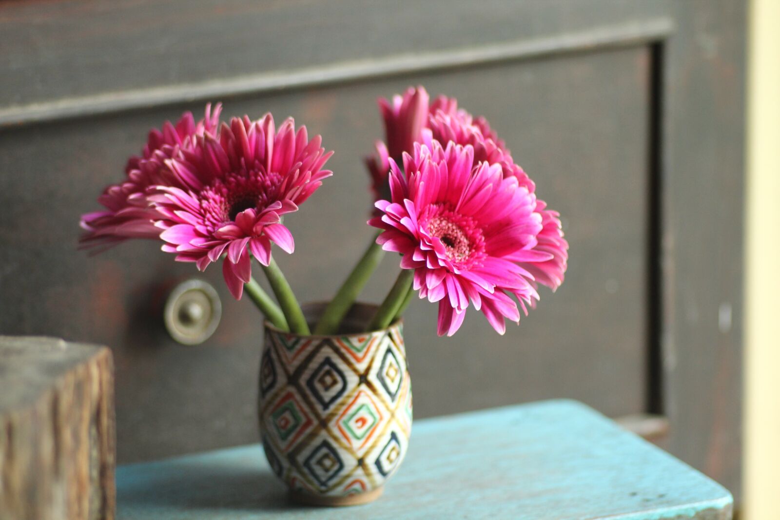 Canon EOS 60D sample photo. Floral, vase, pink photography