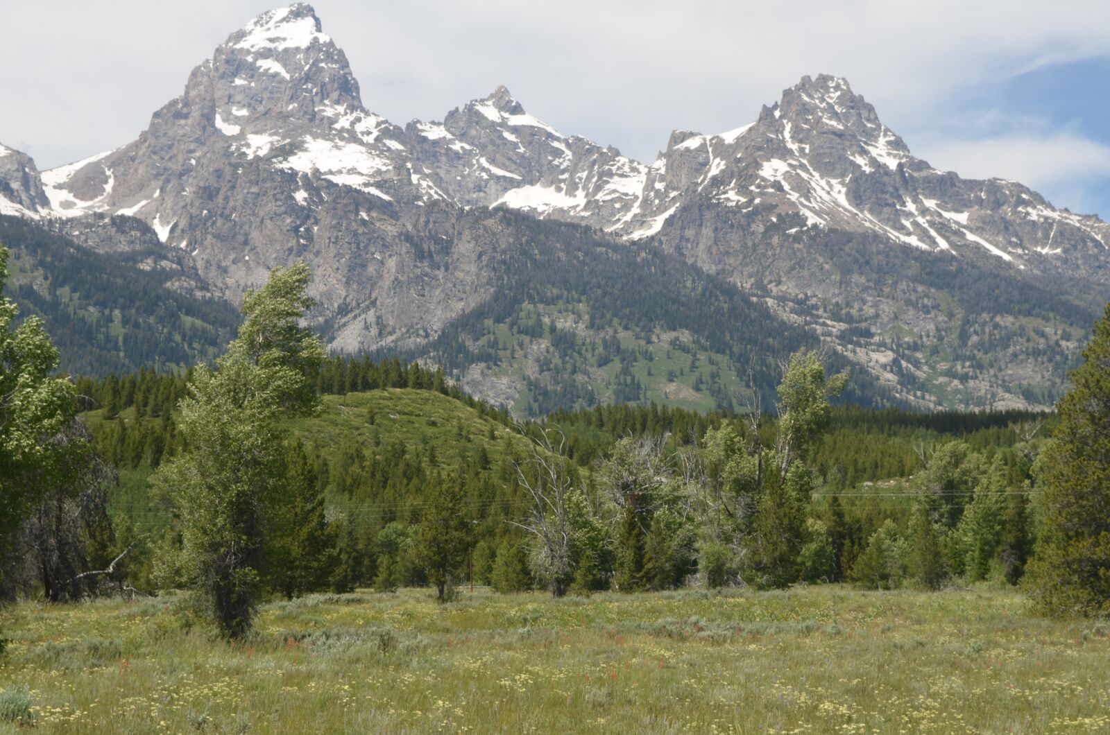 Nikon D5100 sample photo. Grand teton national park photography