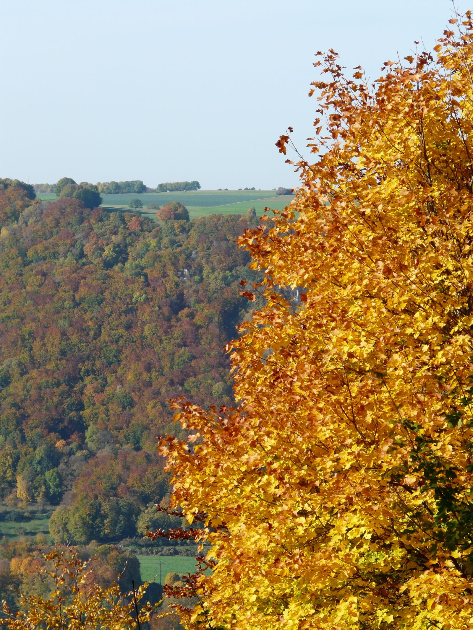 Panasonic DMC-FZ18 sample photo. Autumn, autumn forest, coloring photography