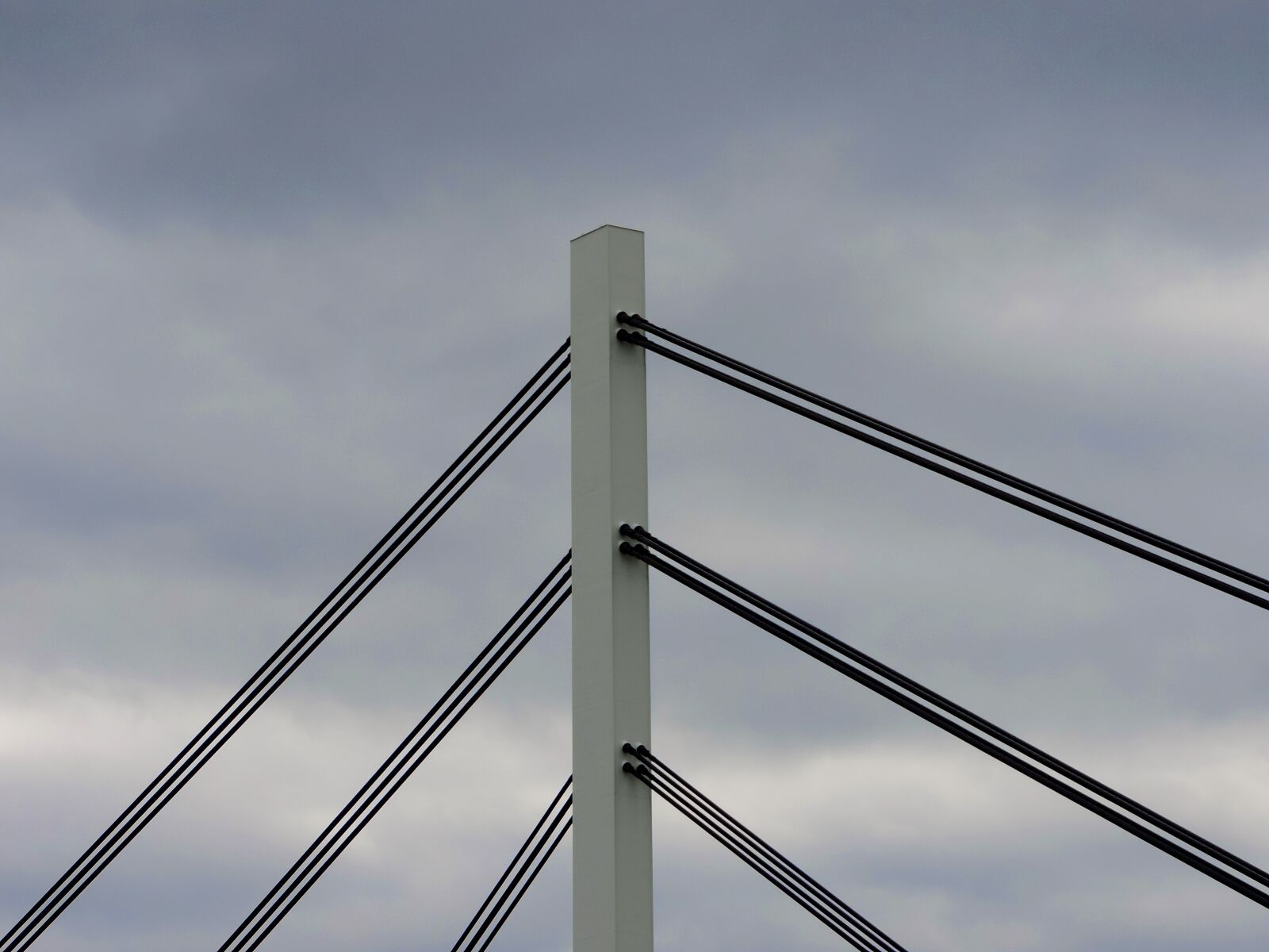 Nikon Coolpix P520 sample photo. Suspension bridge, steel, cable photography