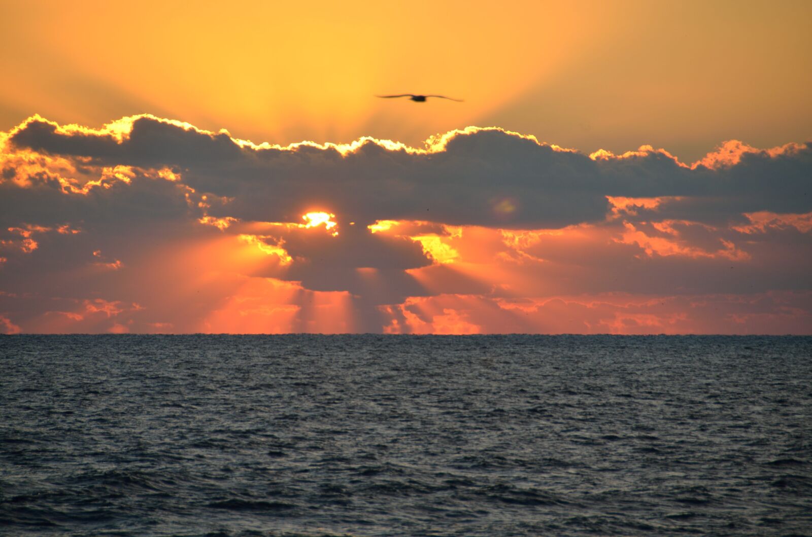 Nikon D7000 sample photo. Sunrise, orange sky, nature photography