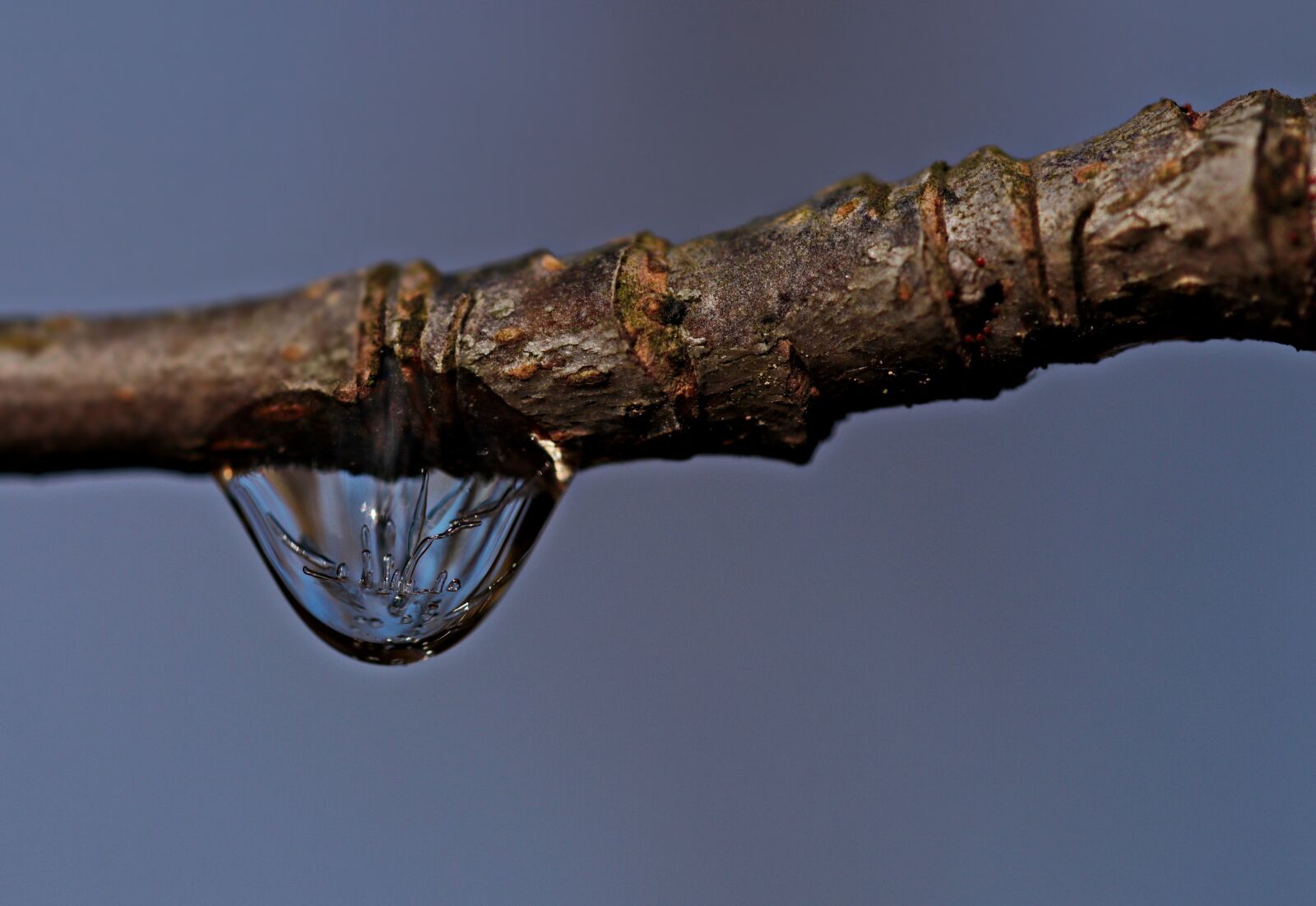 Canon EOS 80D sample photo. Drop of water, drip photography