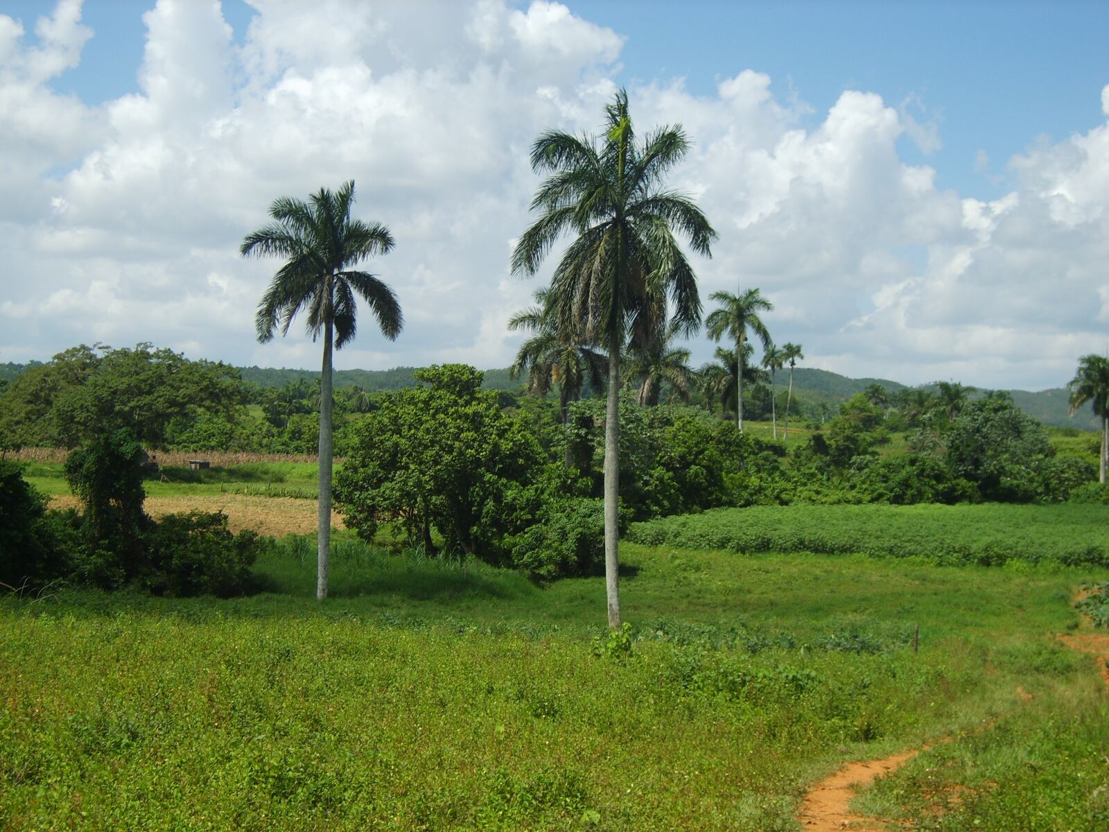 Samsung Digimax S830 / Kenox S830 sample photo. Landscape, cuba, vinales photography