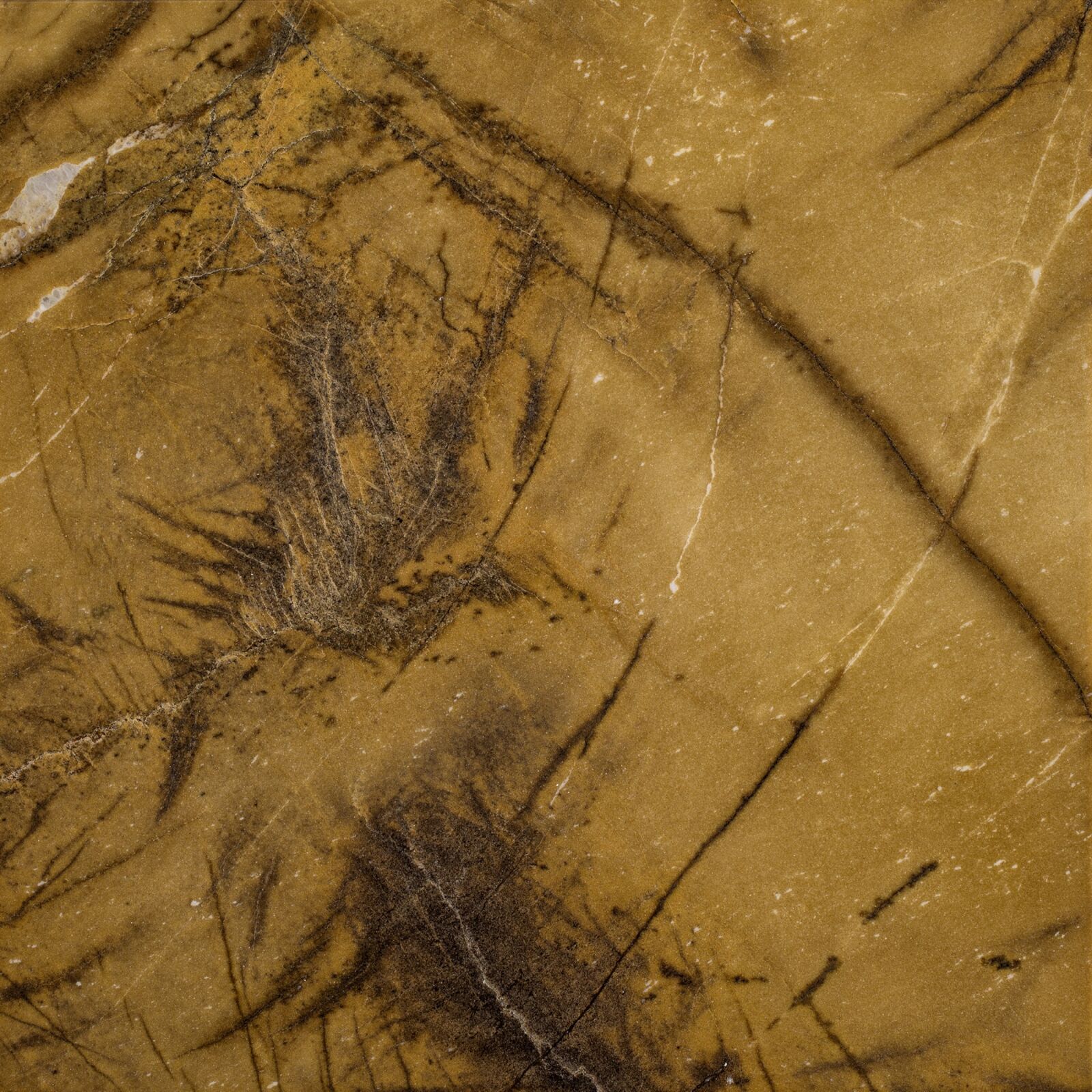 Canon EF 100mm F2.8L Macro IS USM sample photo. Rock, tiles, structure photography