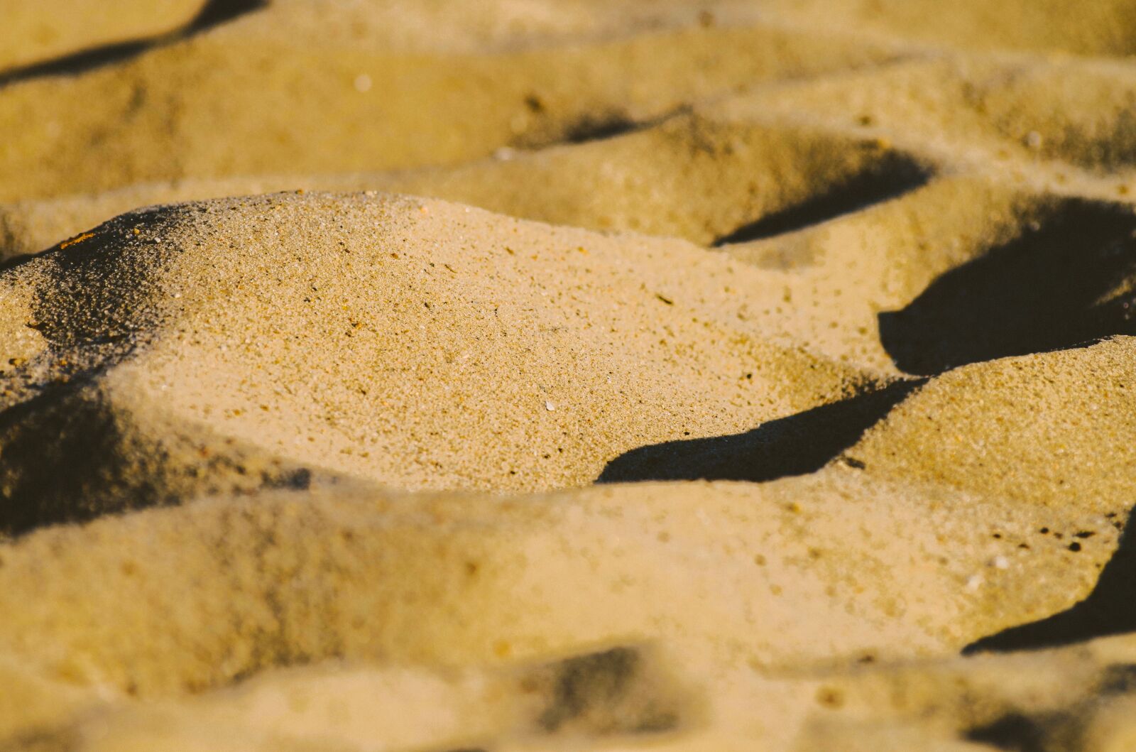 Pentax K-30 sample photo. Sand, grain of sand photography