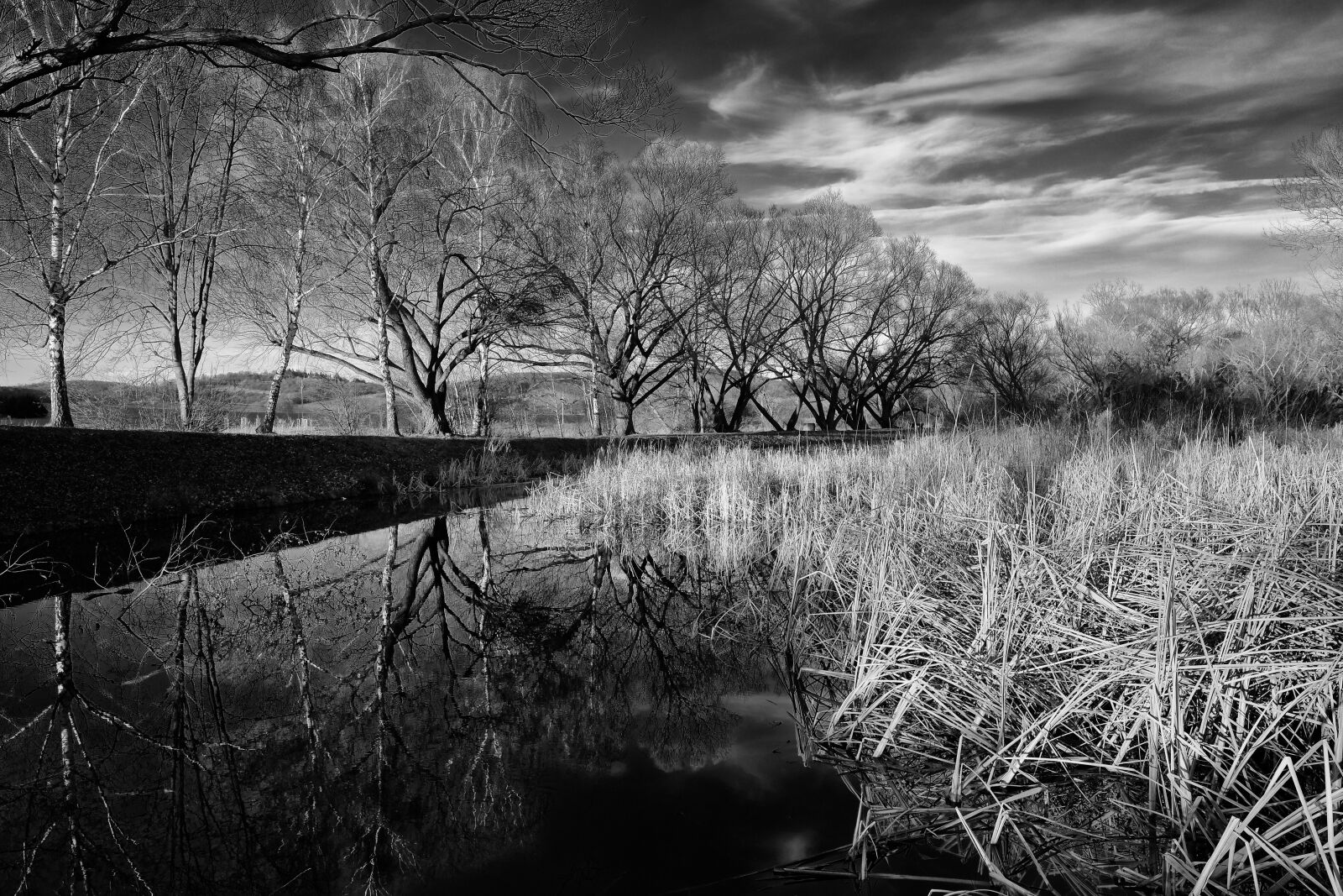 Fujifilm XF 16mm F1.4 R WR sample photo. Nature, pond, surface photography