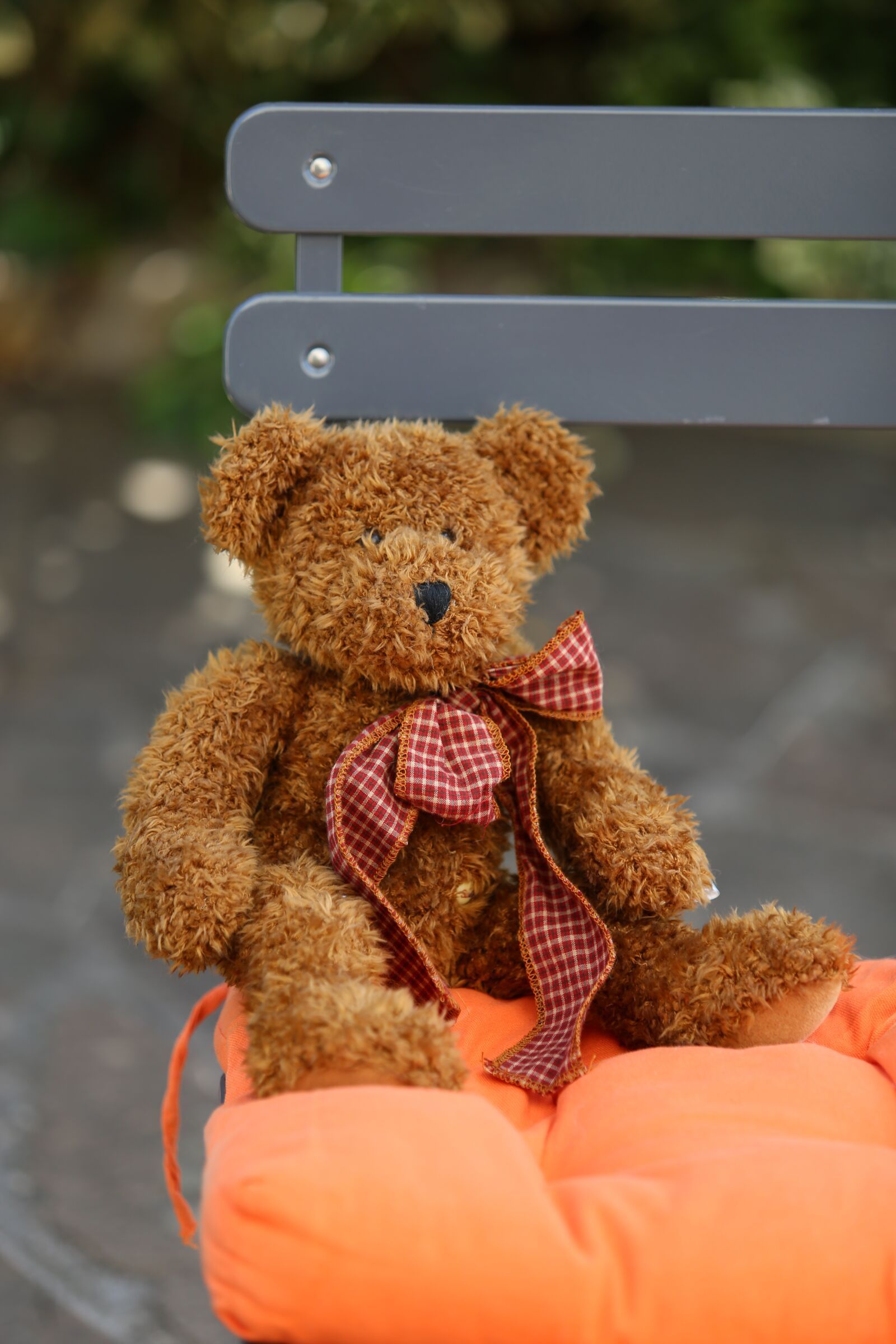 Canon EF 70-200mm F2.8L USM sample photo. Teddy, garden chair, teddy photography
