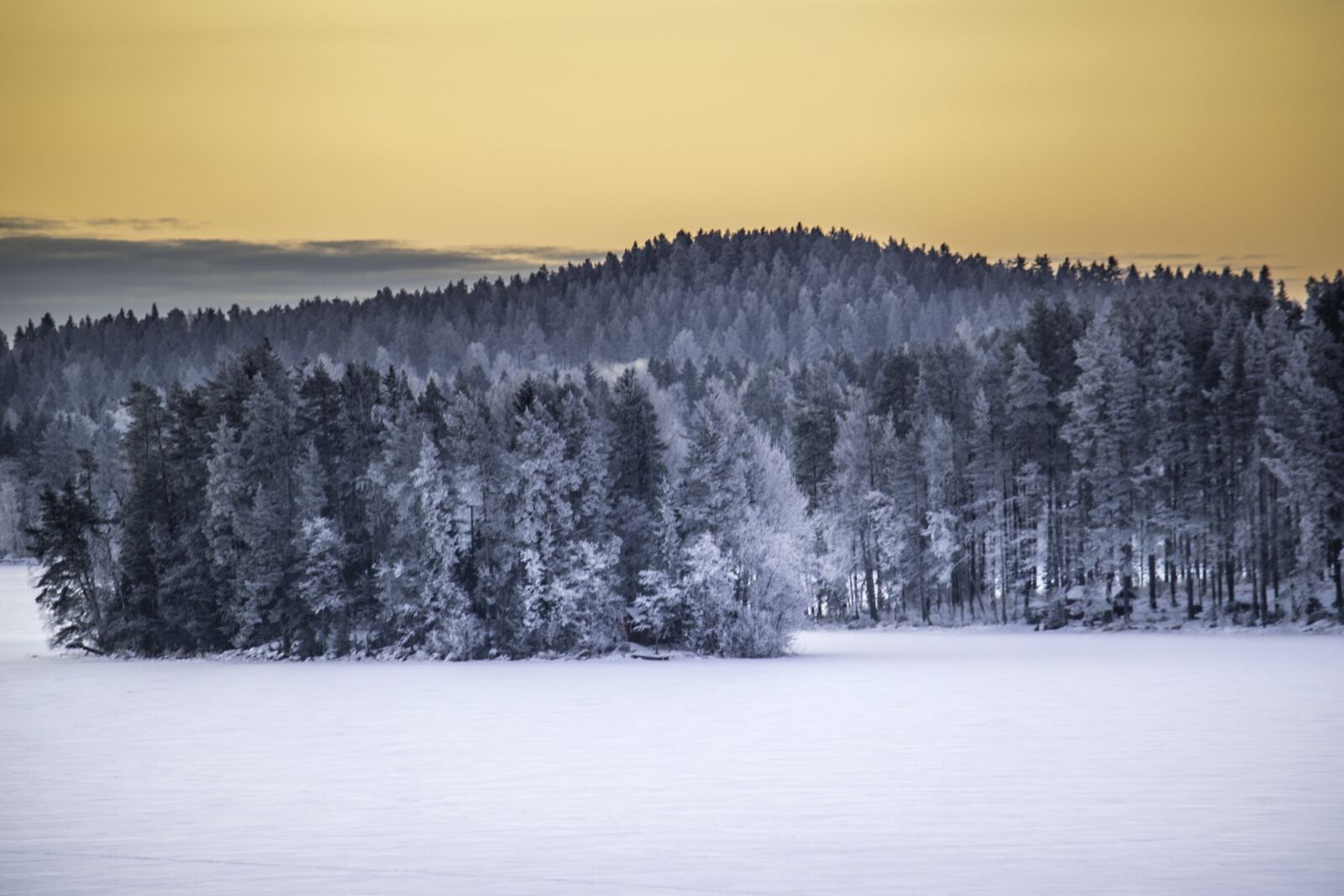 Nikon D5300 sample photo. Forest, nature, finnish photography