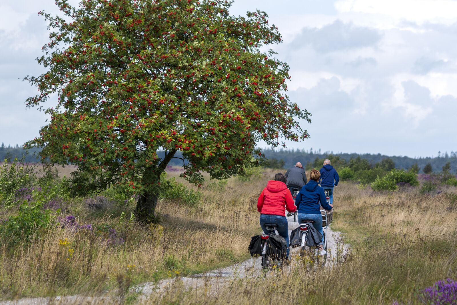 Nikon D500 sample photo. People, cycling, lifestyle photography