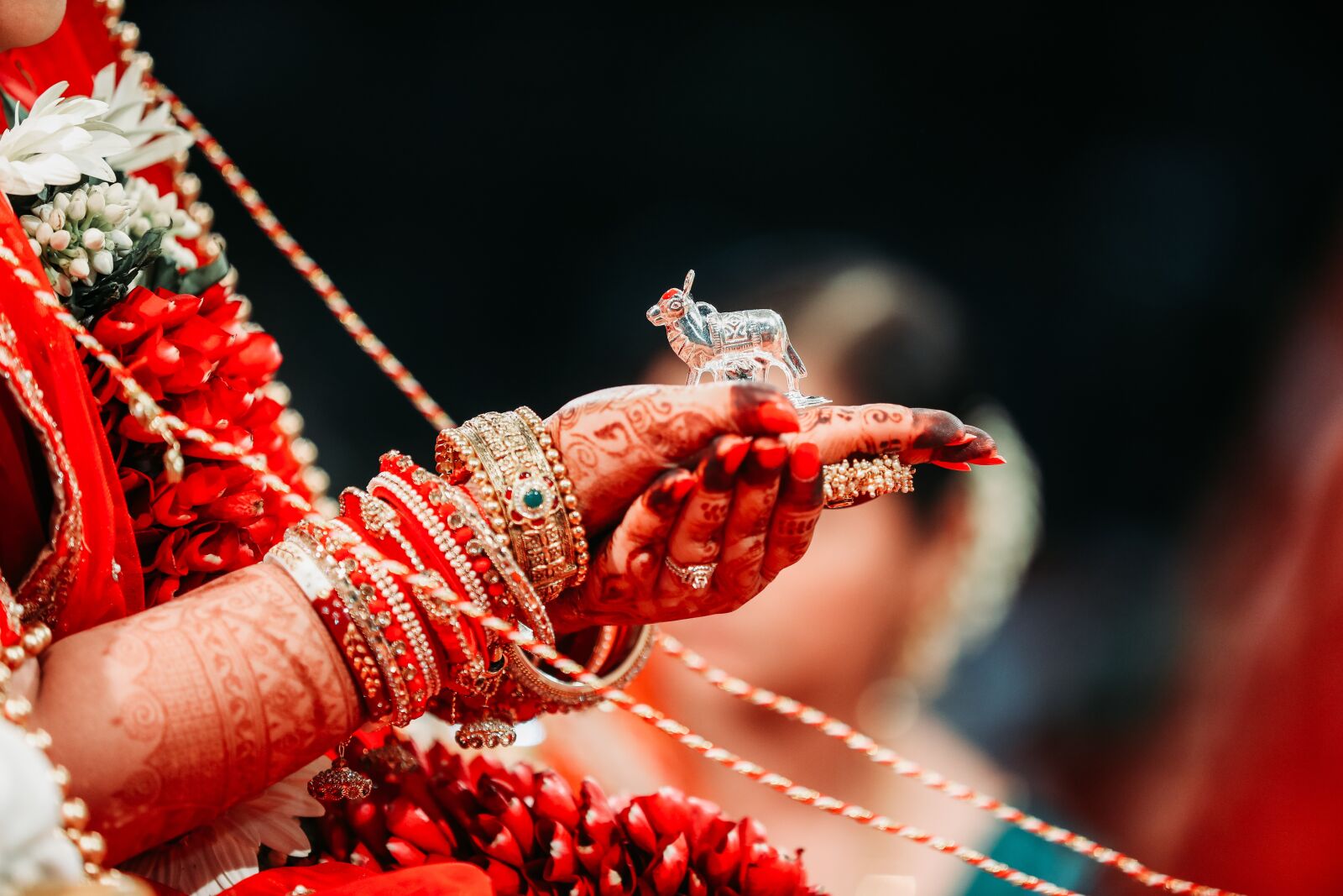 Canon EOS 5D Mark IV sample photo. Indian wedding, traditional, marriage photography