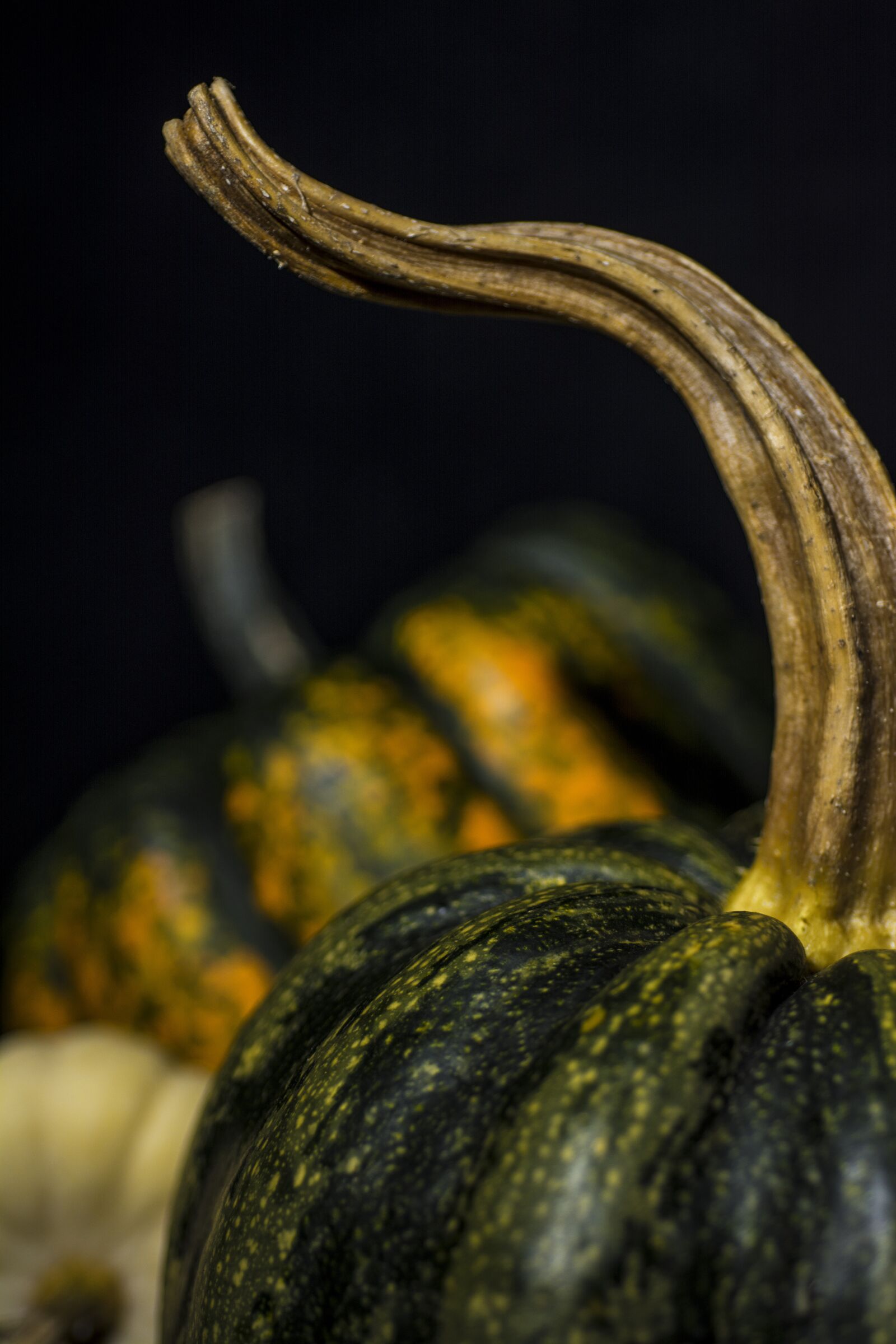 Nikon D7100 sample photo. Pumpkin, autumn, background photography