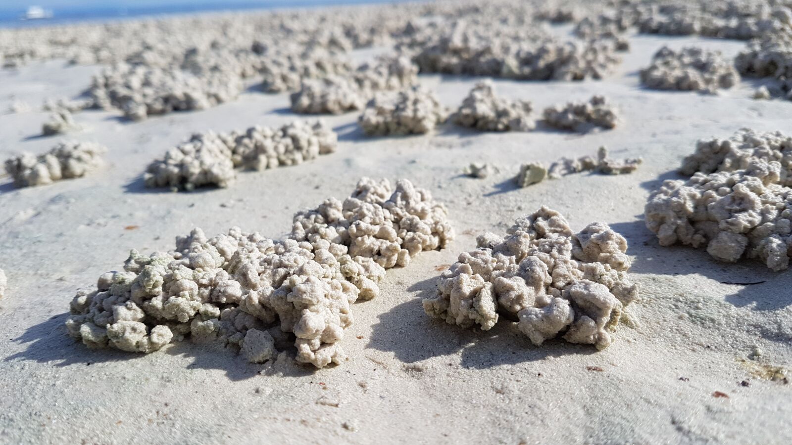 Samsung Galaxy S7 Edge sample photo. Sand, texture, beach photography
