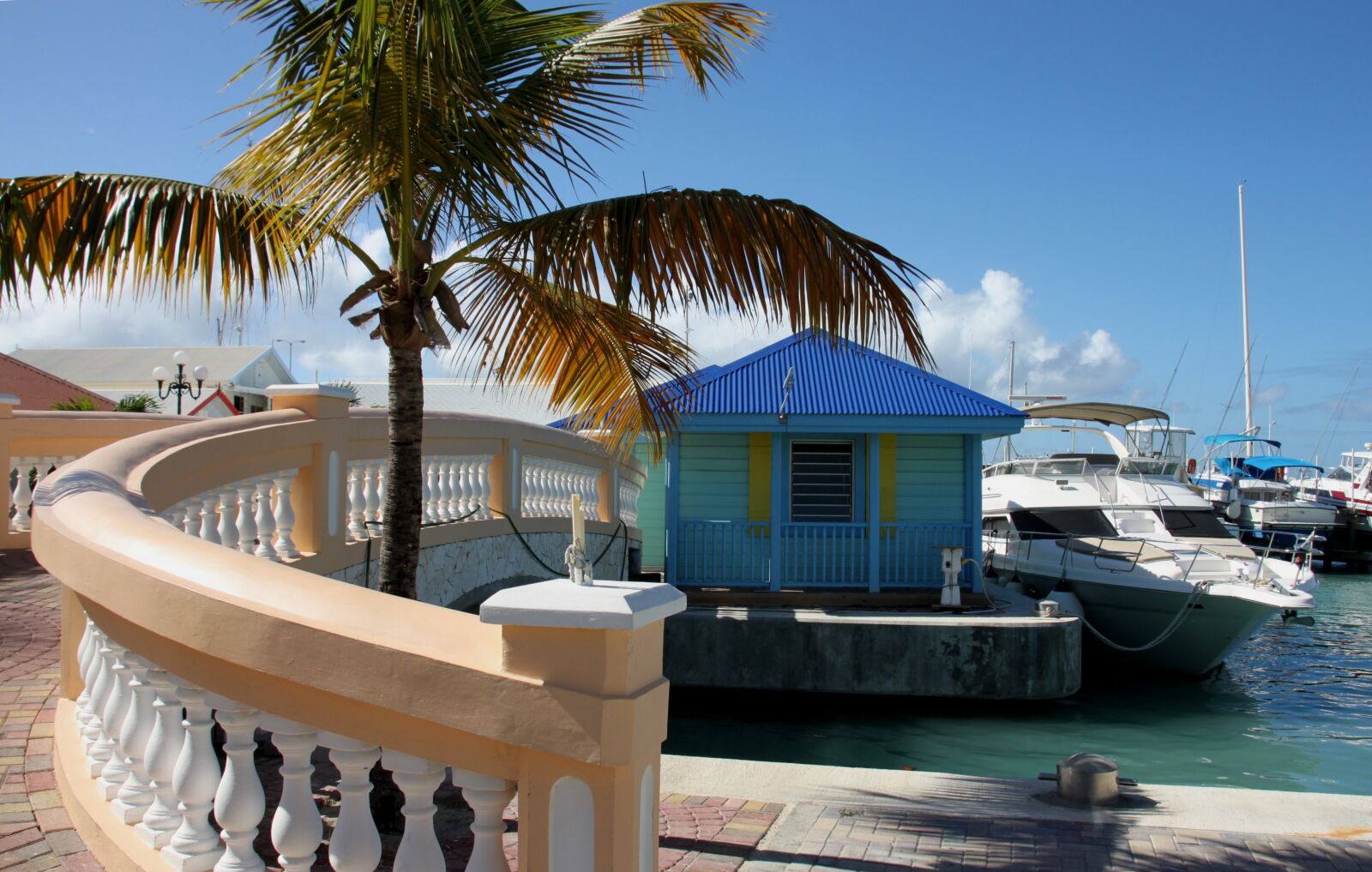 Canon EOS 500D (EOS Rebel T1i / EOS Kiss X3) sample photo. Palm, beach, coast photography