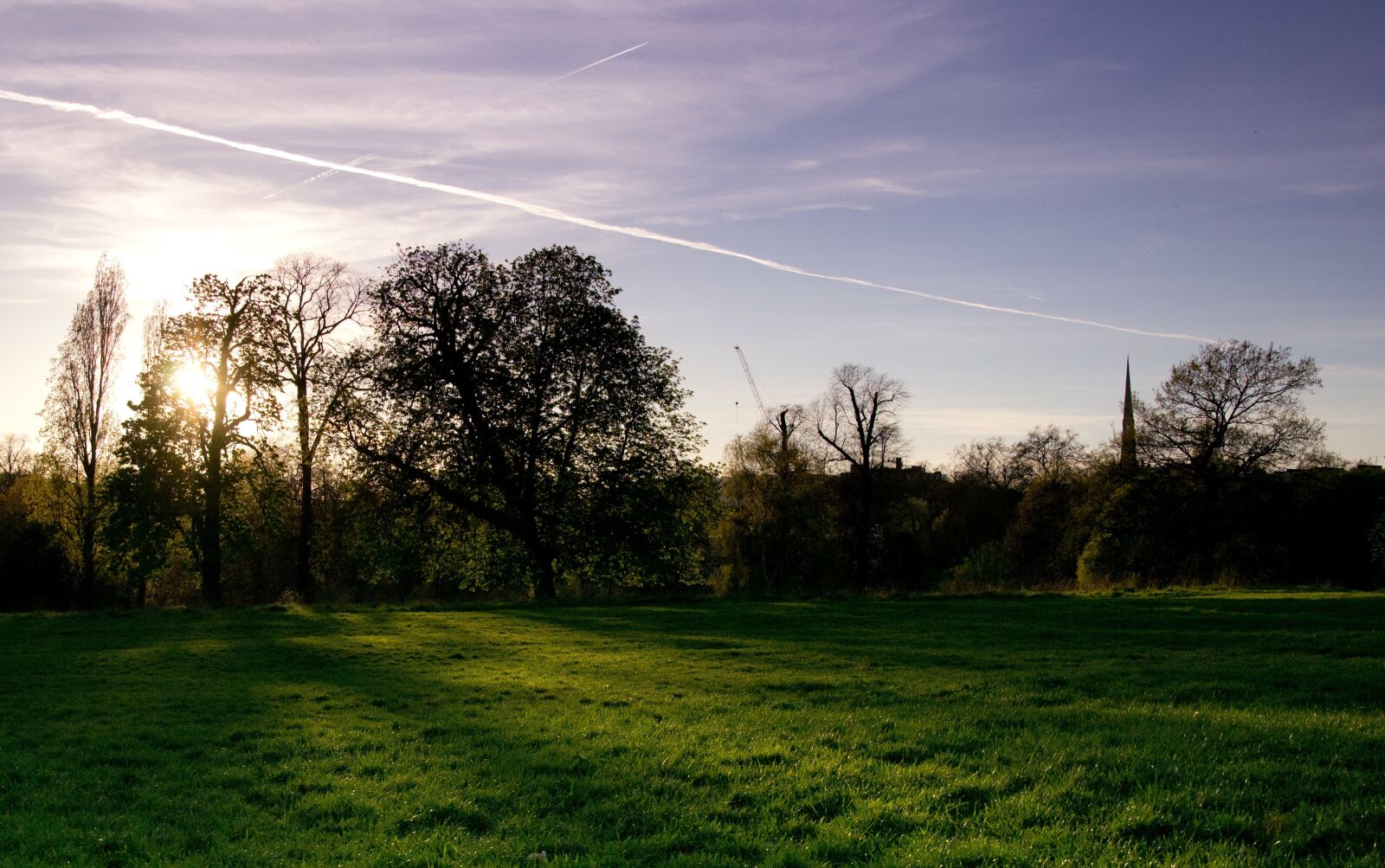 Nikon D3100 sample photo. Park, london, kensington gardens photography