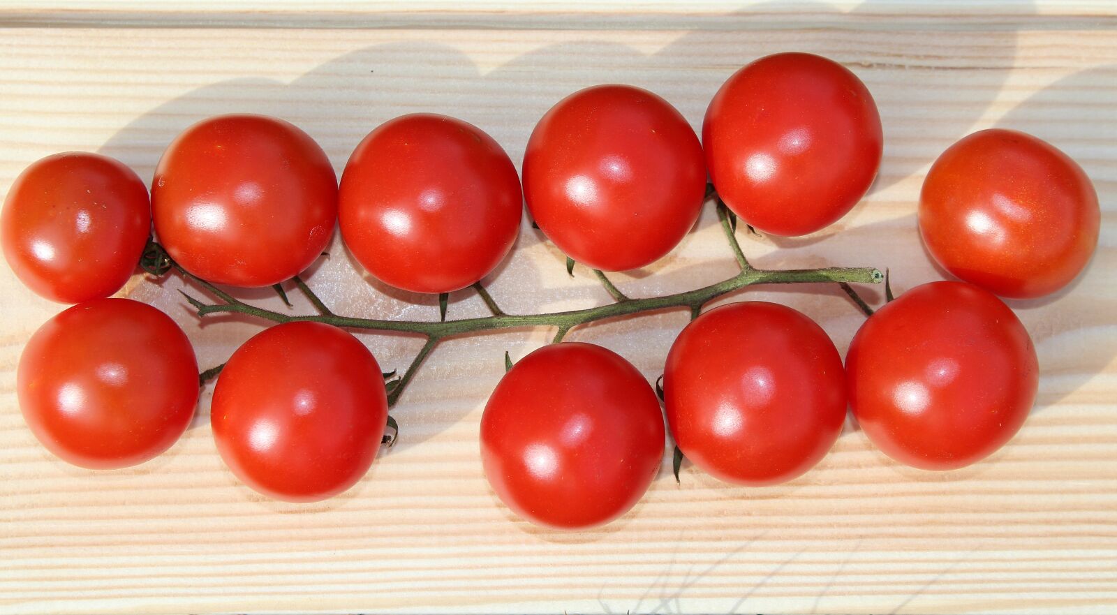 Canon EOS 1200D (EOS Rebel T5 / EOS Kiss X70 / EOS Hi) sample photo. Eating, tomato, a vegetable photography
