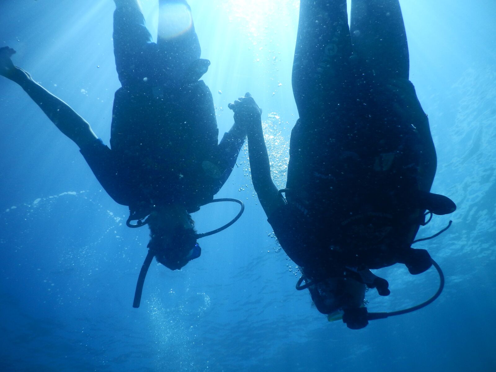 Nikon Coolpix AW110 sample photo. Diving, divers, pair photography